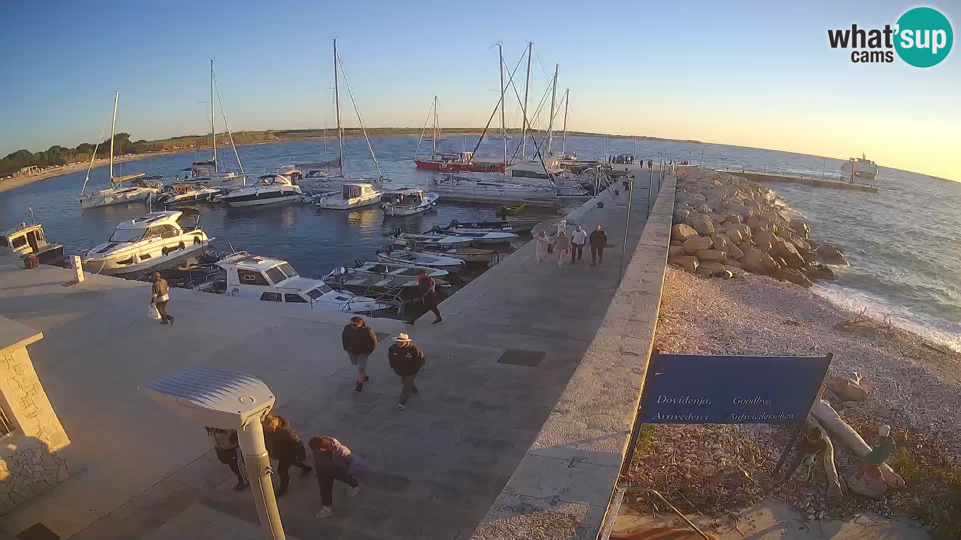Cámara web de la isla de Unije: explore la belleza de la joya escondida de Croacia