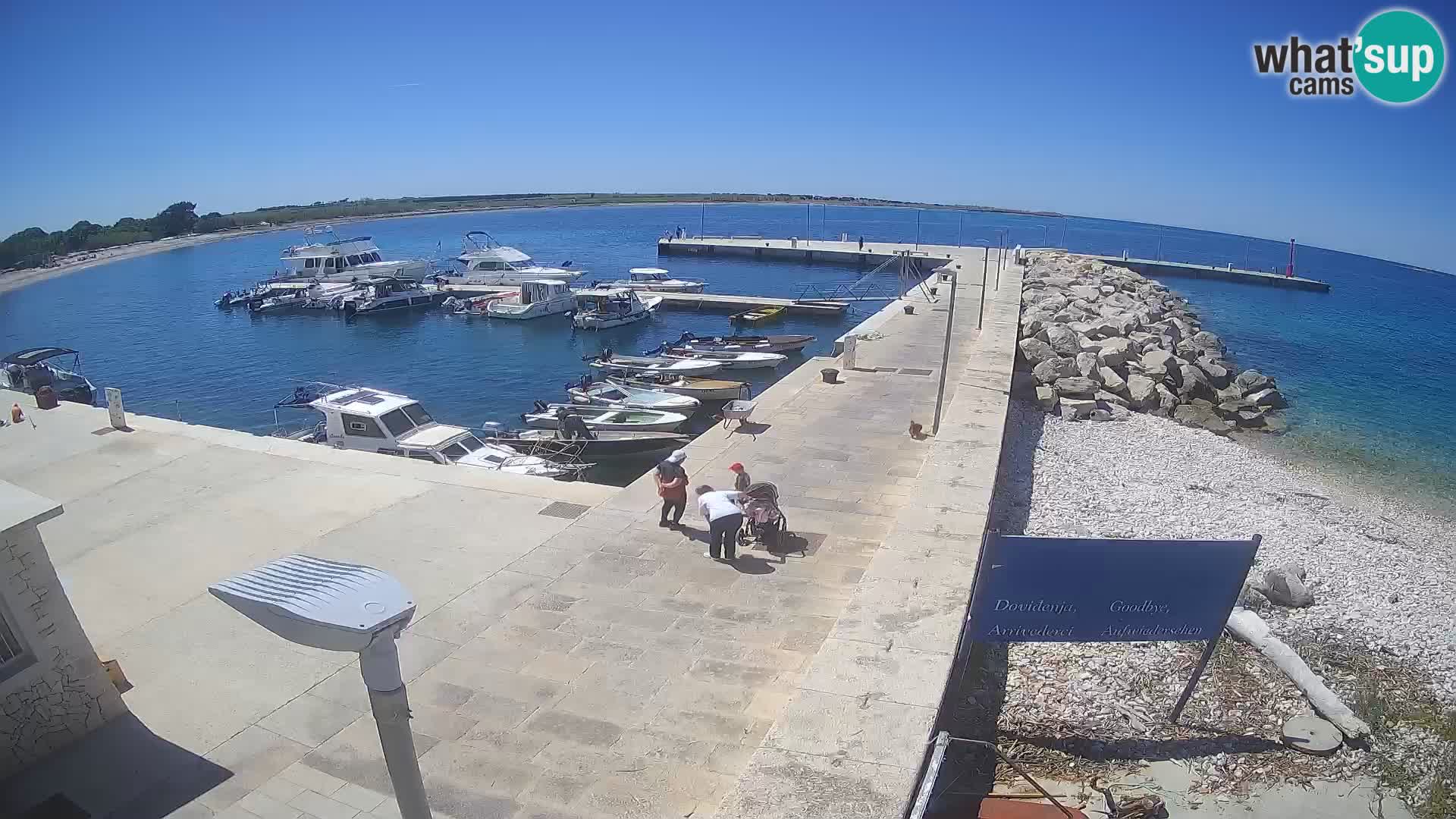 Webcam Isola di Unije – Esplora la bellezza della gemma nascosta della Croazia