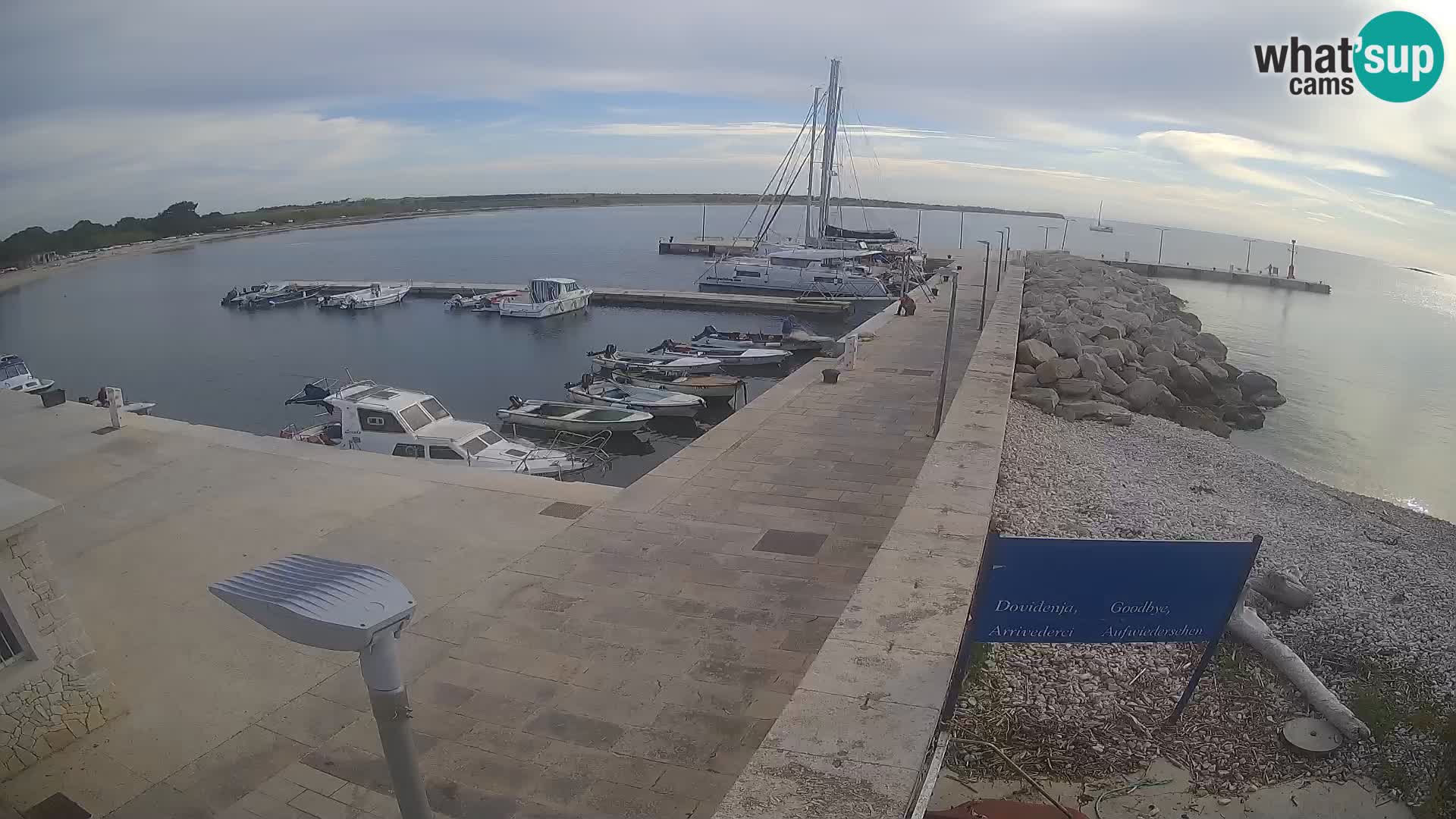 Cámara web de la isla de Unije: explore la belleza de la joya escondida de Croacia