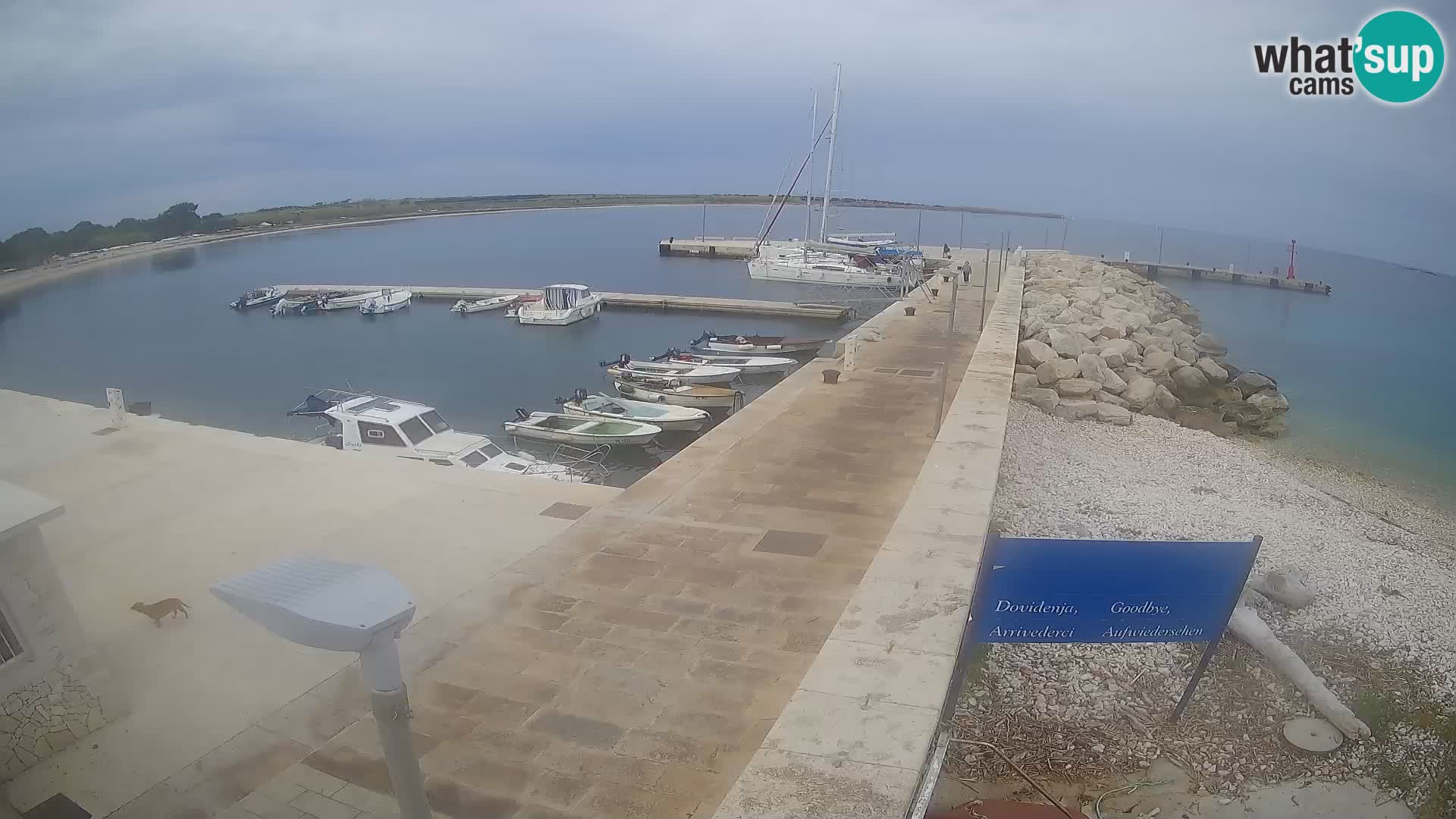 Unije Island Webcam – Explore the Beauty of Croatia’s Hidden Gem