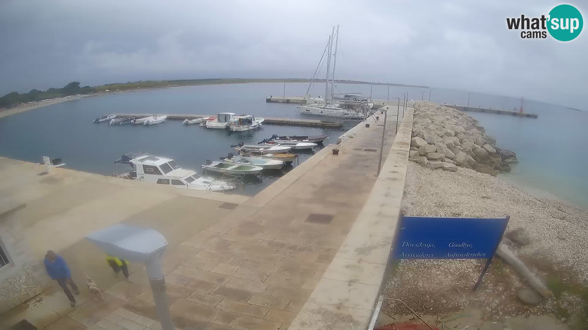 Cámara web de la isla de Unije: explore la belleza de la joya escondida de Croacia