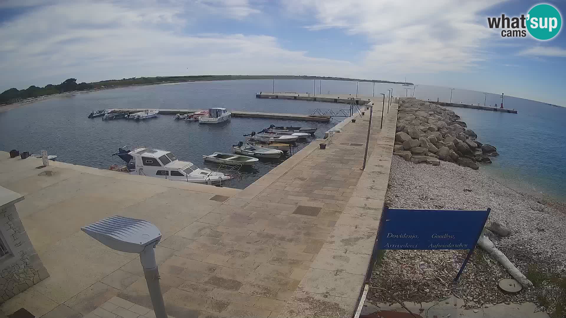 Cámara web de la isla de Unije: explore la belleza de la joya escondida de Croacia