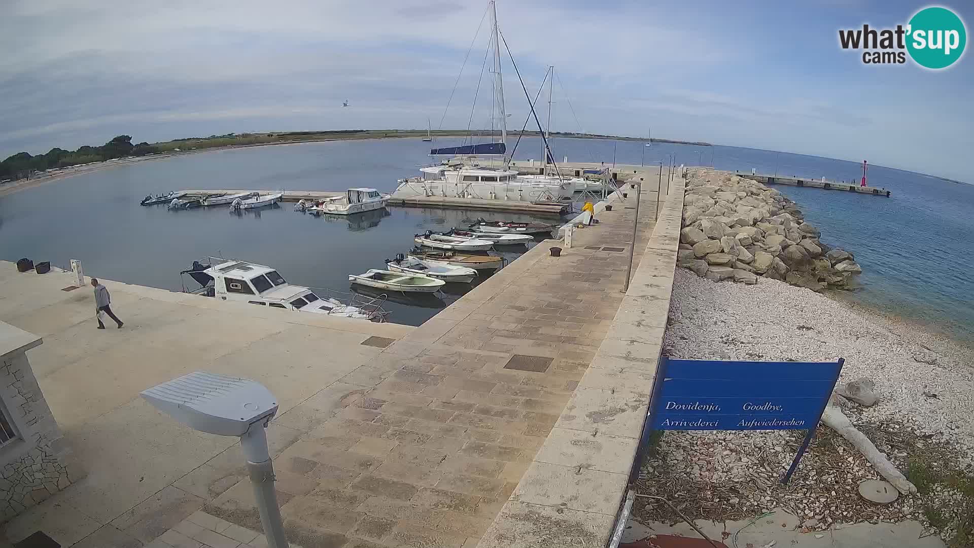 Cámara web de la isla de Unije: explore la belleza de la joya escondida de Croacia