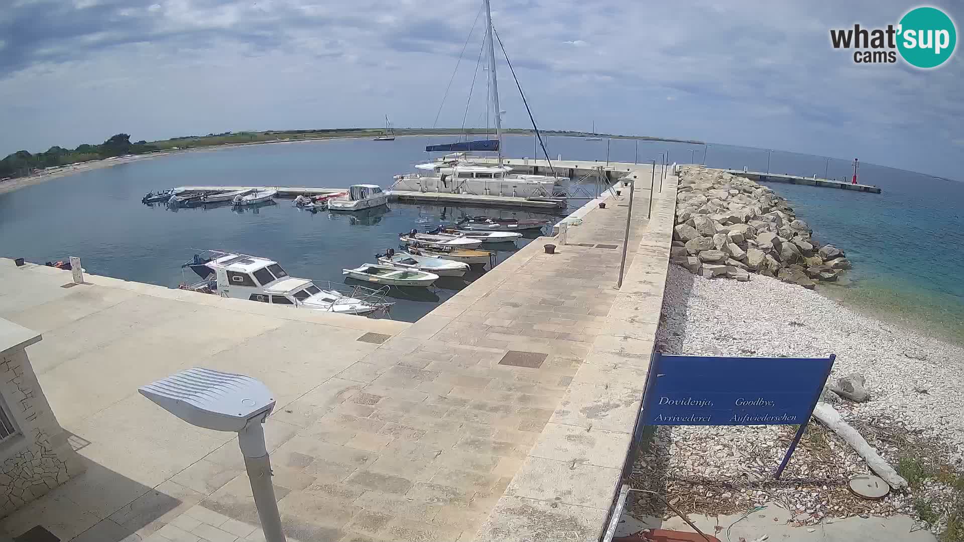 Cámara web de la isla de Unije: explore la belleza de la joya escondida de Croacia