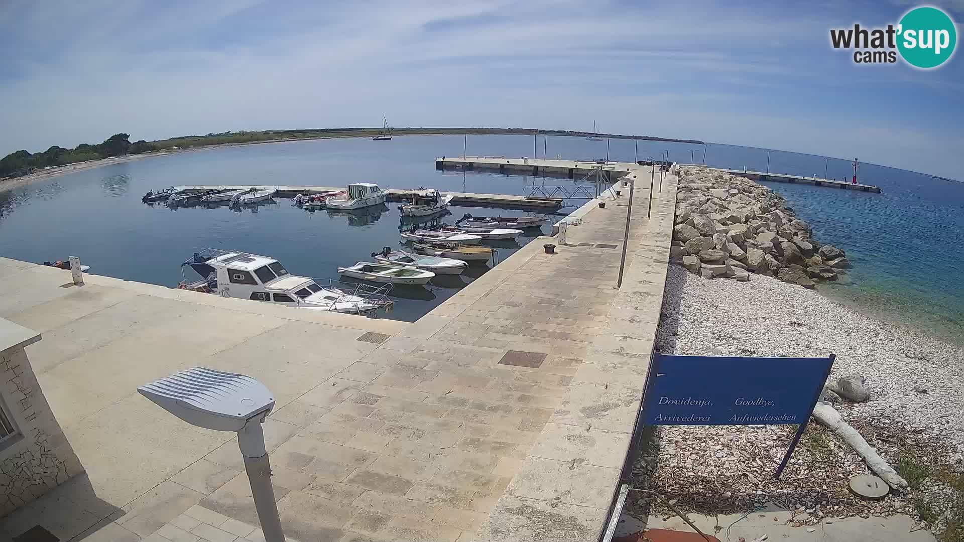 Cámara web de la isla de Unije: explore la belleza de la joya escondida de Croacia