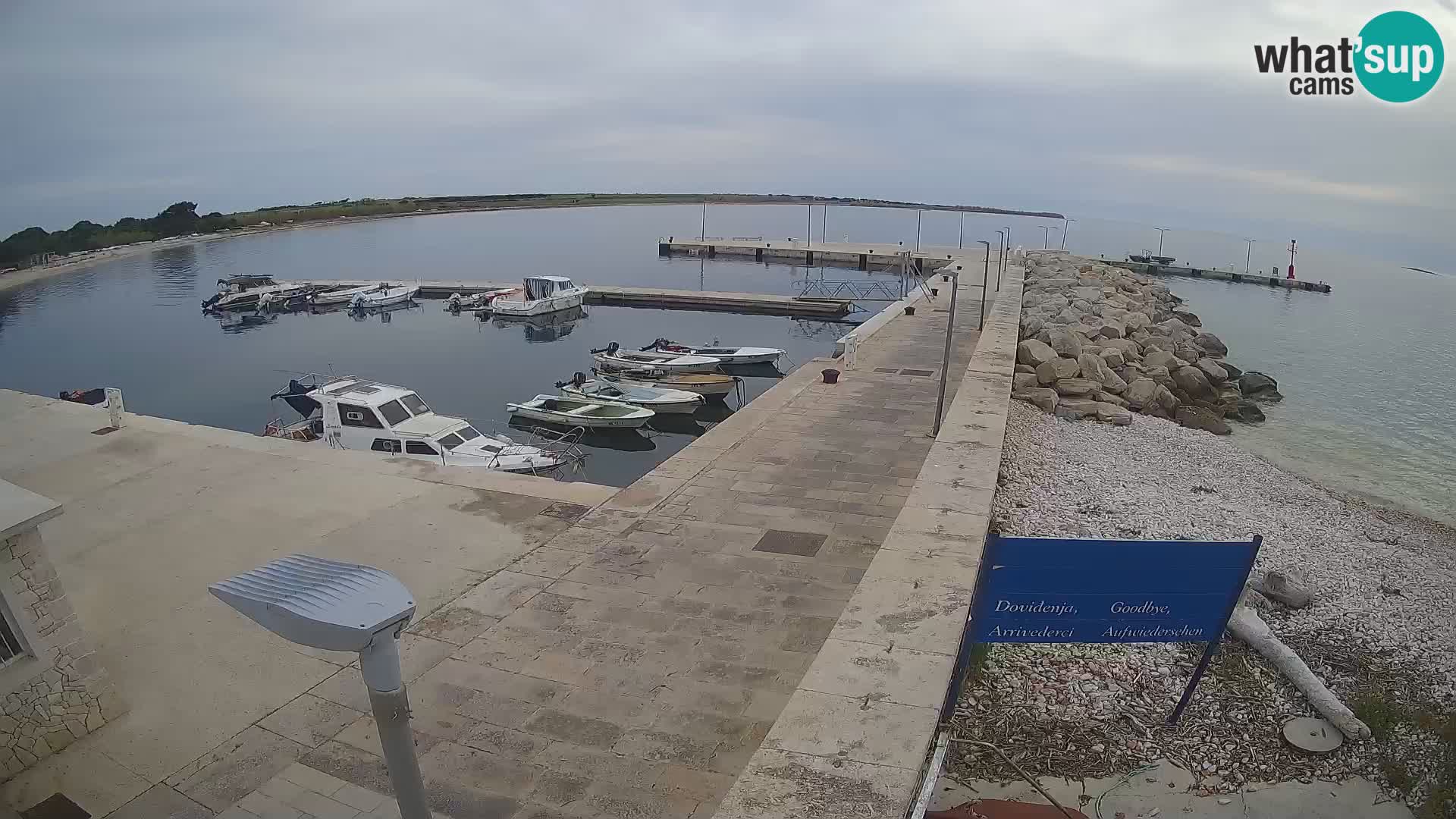 Cámara web de la isla de Unije: explore la belleza de la joya escondida de Croacia