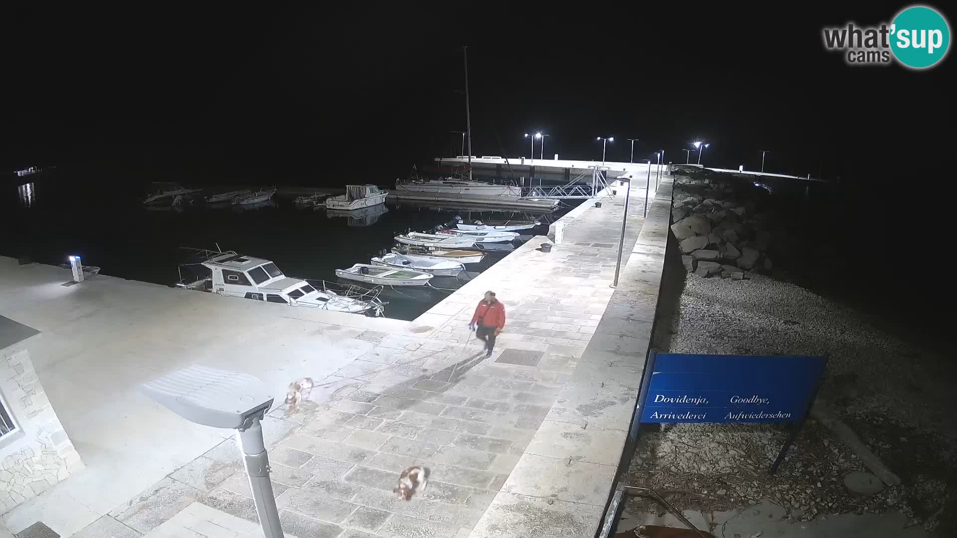 Unije Island Webcam – Explore the Beauty of Croatia’s Hidden Gem