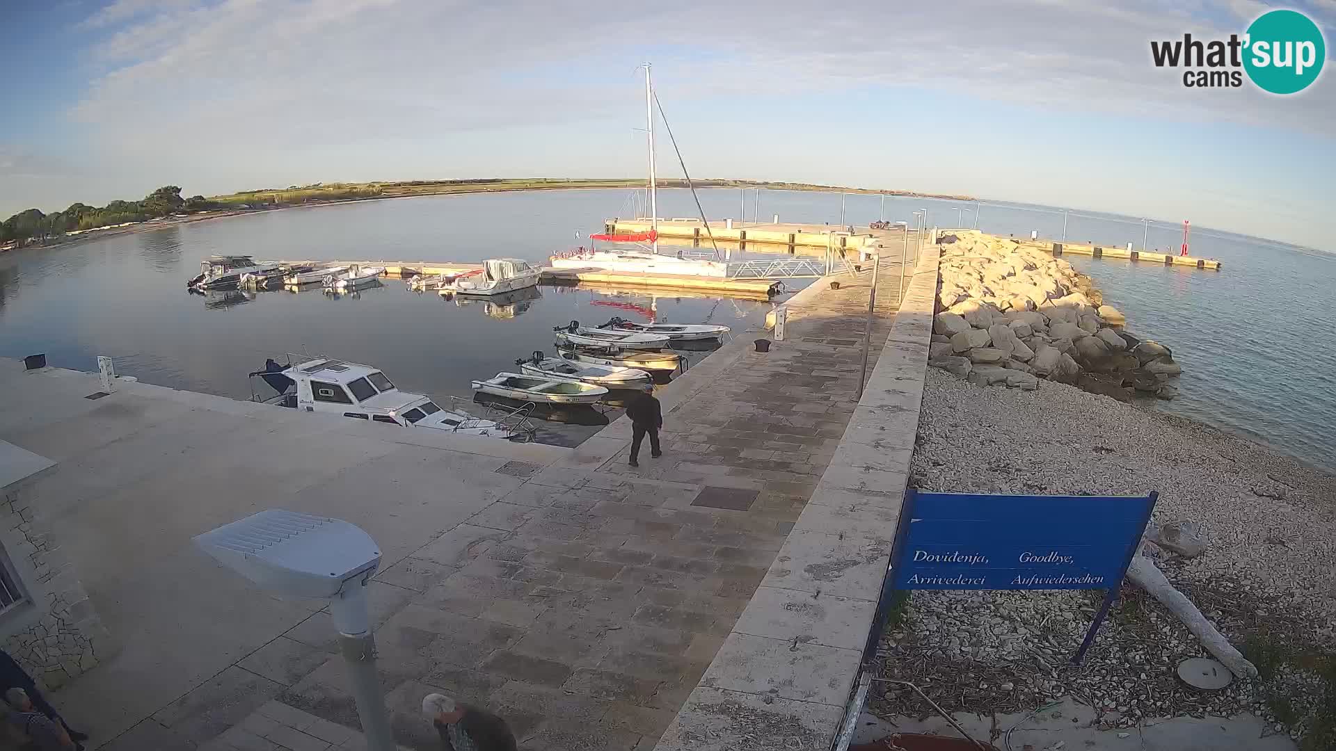 Cámara web de la isla de Unije: explore la belleza de la joya escondida de Croacia