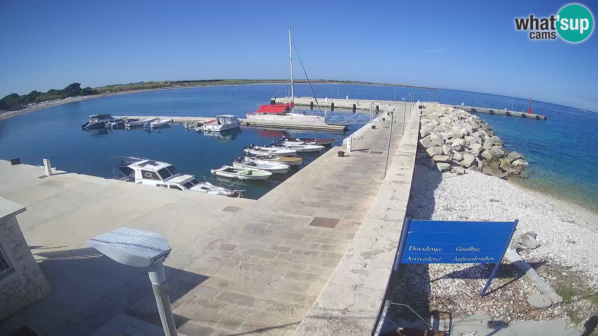 Cámara web de la isla de Unije: explore la belleza de la joya escondida de Croacia