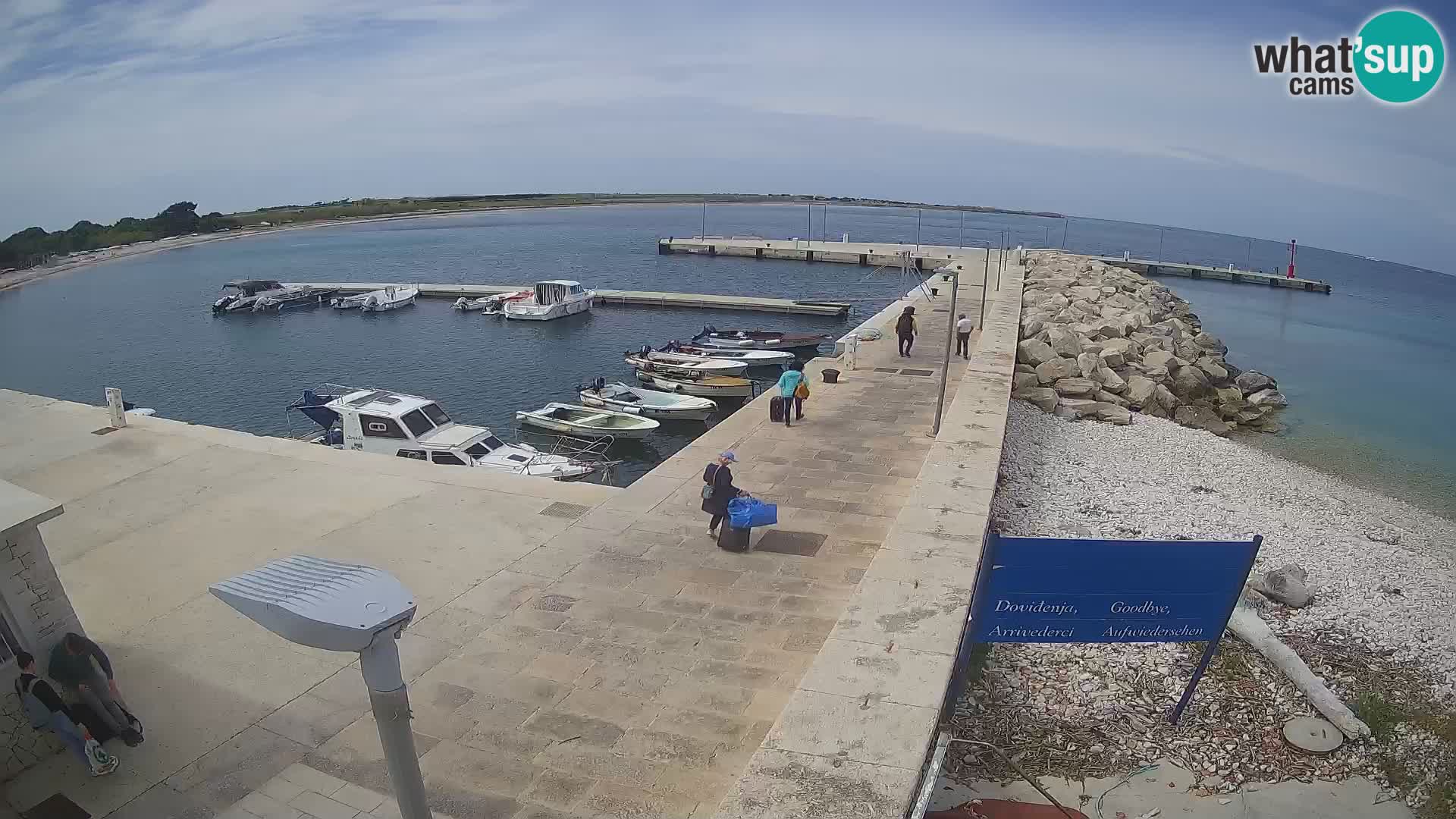 Cámara web de la isla de Unije: explore la belleza de la joya escondida de Croacia