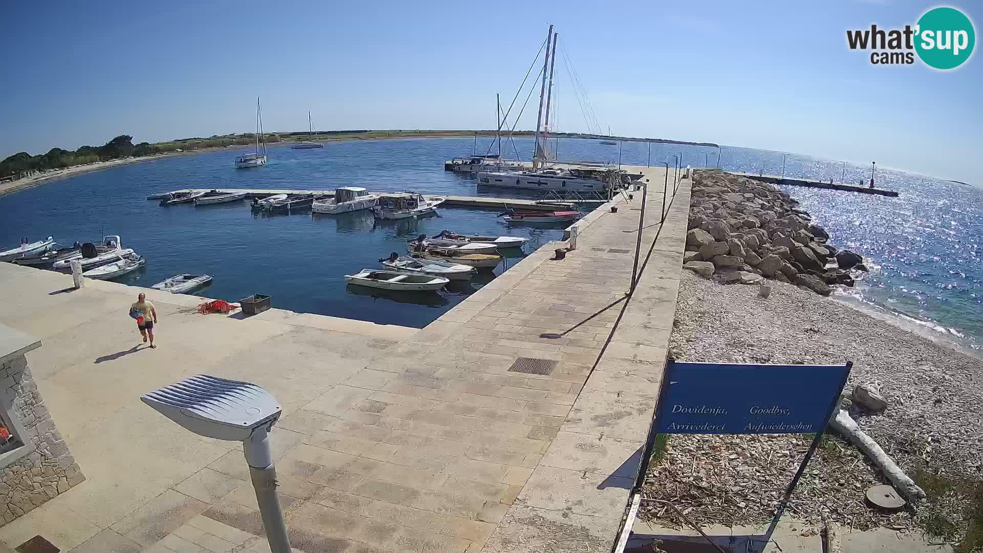 Cámara web de la isla de Unije: explore la belleza de la joya escondida de Croacia