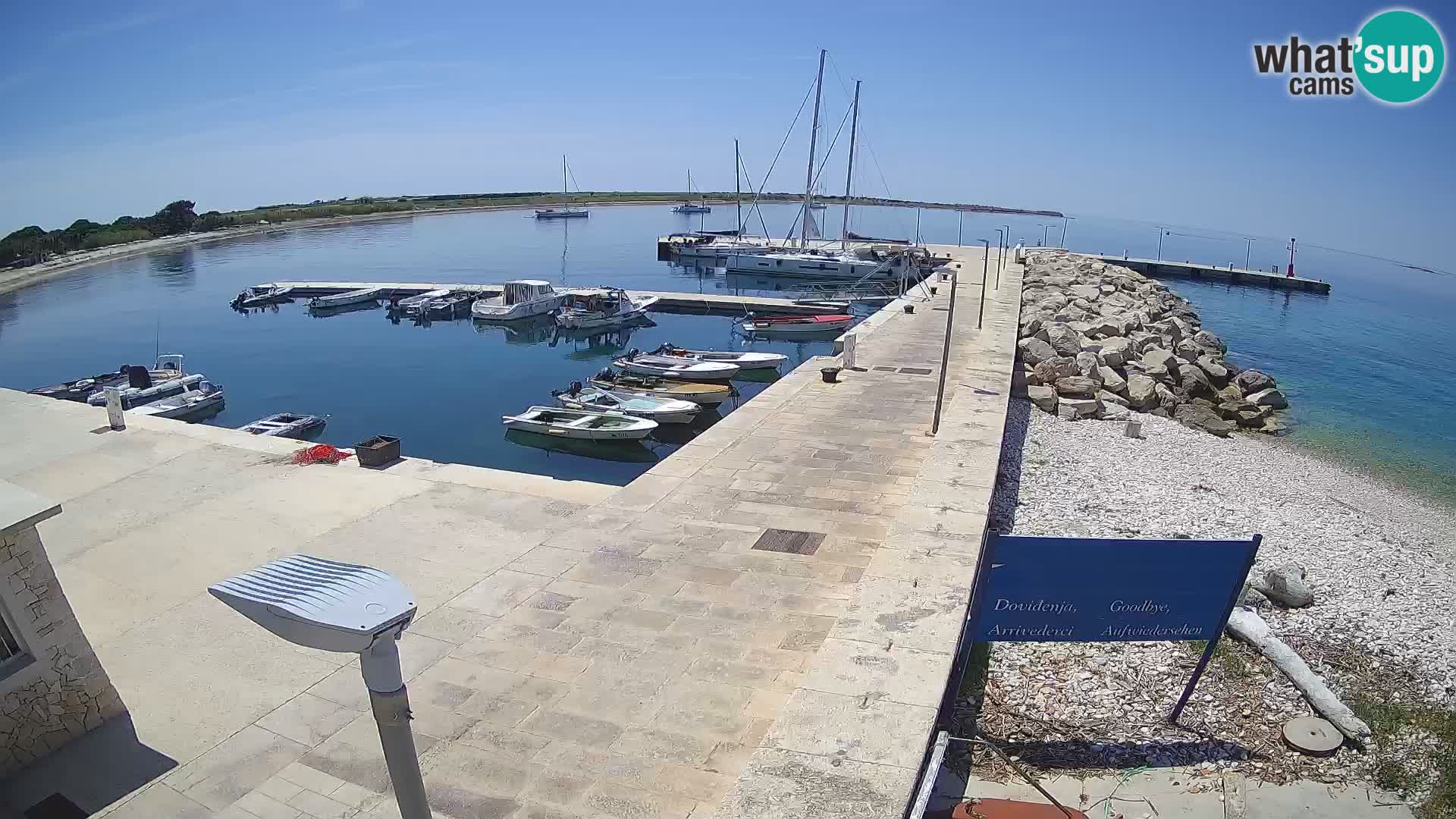 Webcam Isola di Unije – Esplora la bellezza della gemma nascosta della Croazia