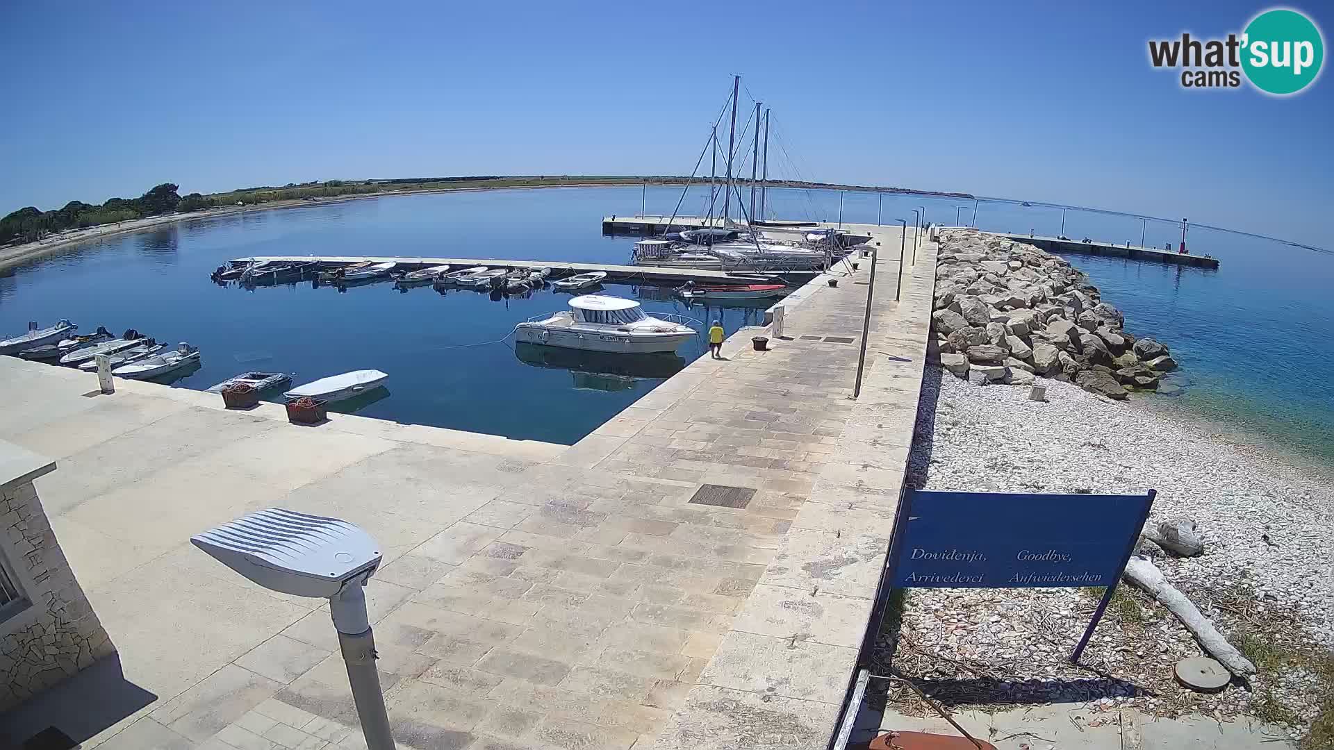 Cámara web de la isla de Unije: explore la belleza de la joya escondida de Croacia