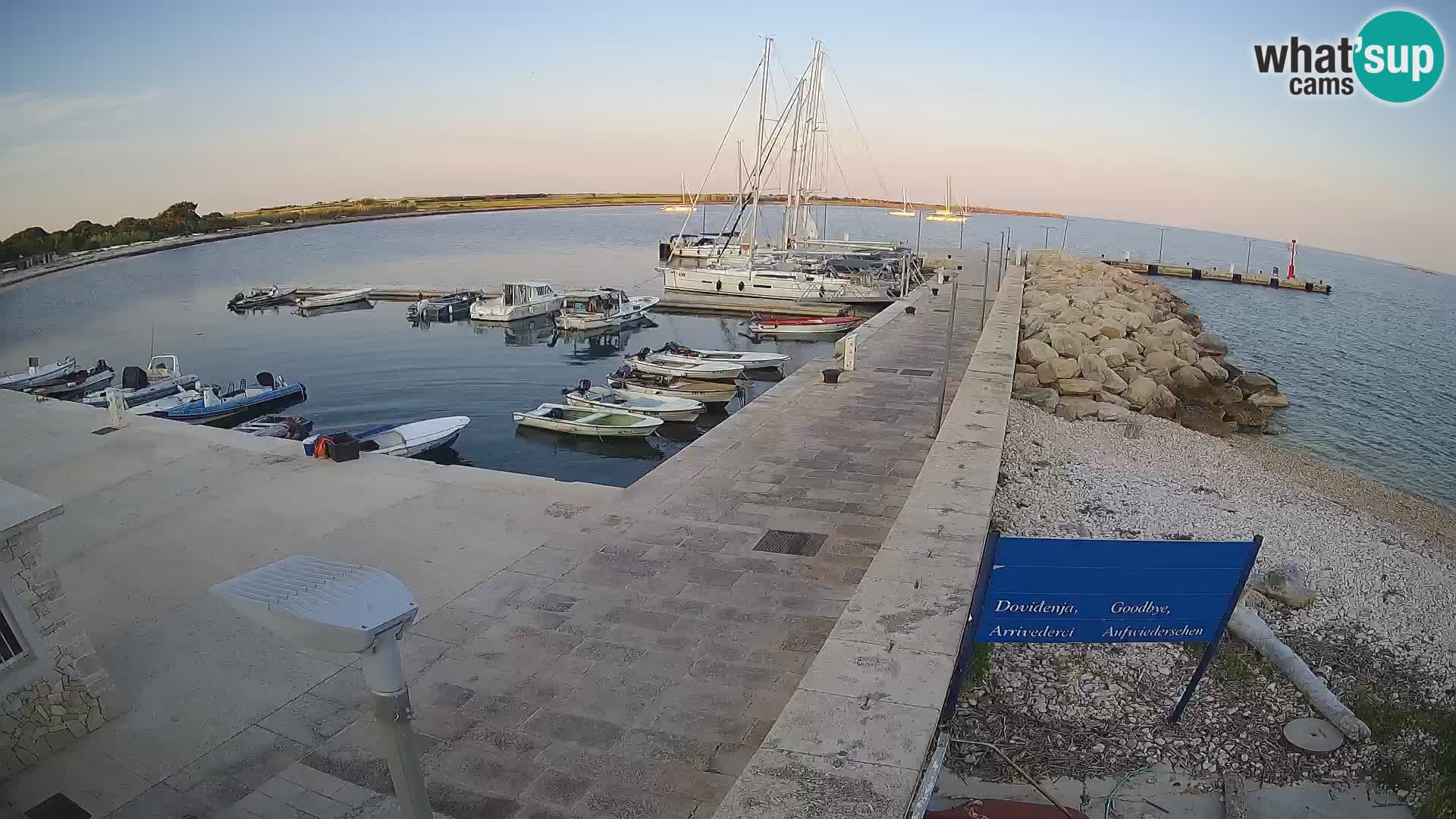 Cámara web de la isla de Unije: explore la belleza de la joya escondida de Croacia