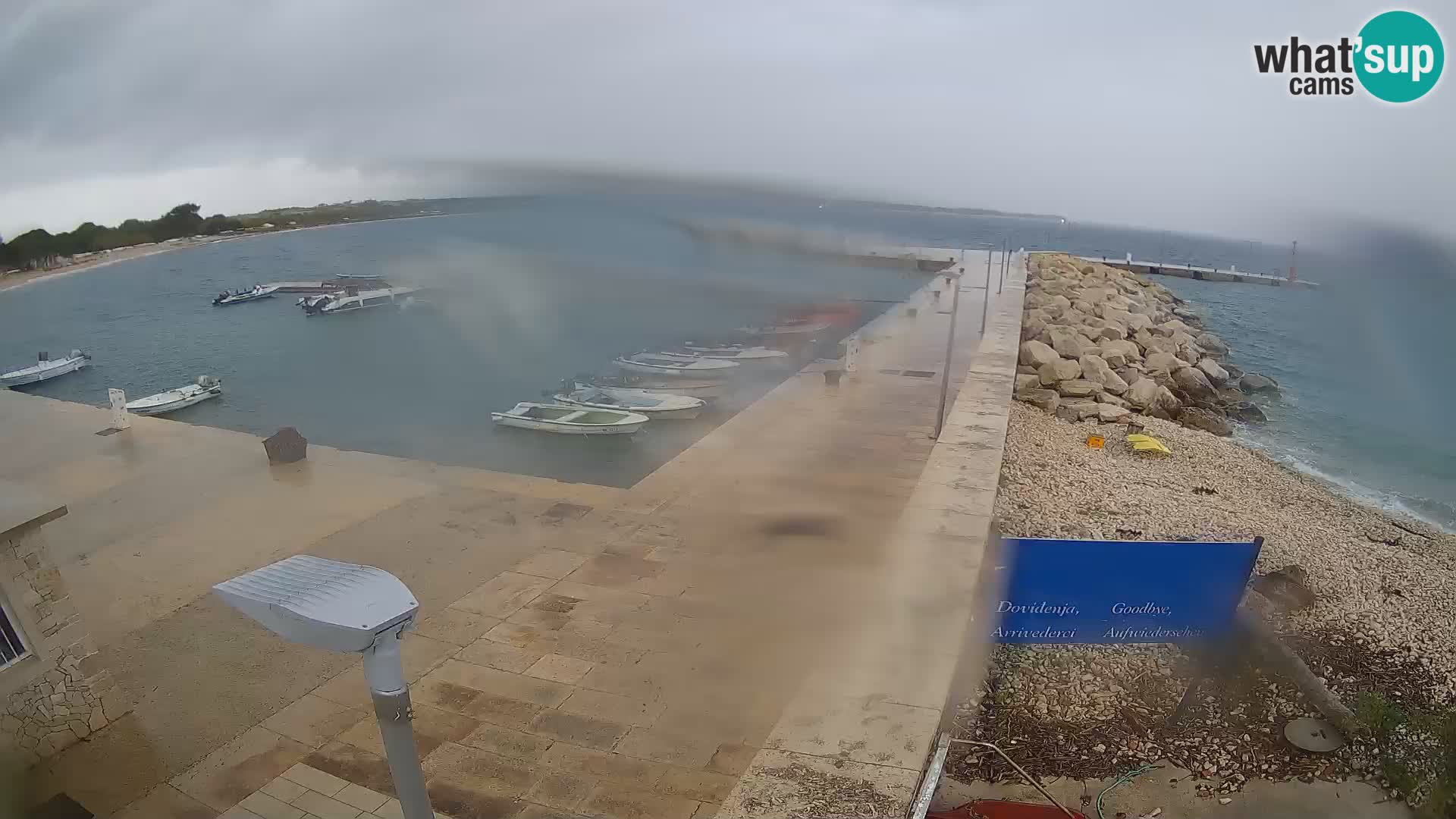 Cámara web de la isla de Unije: explore la belleza de la joya escondida de Croacia