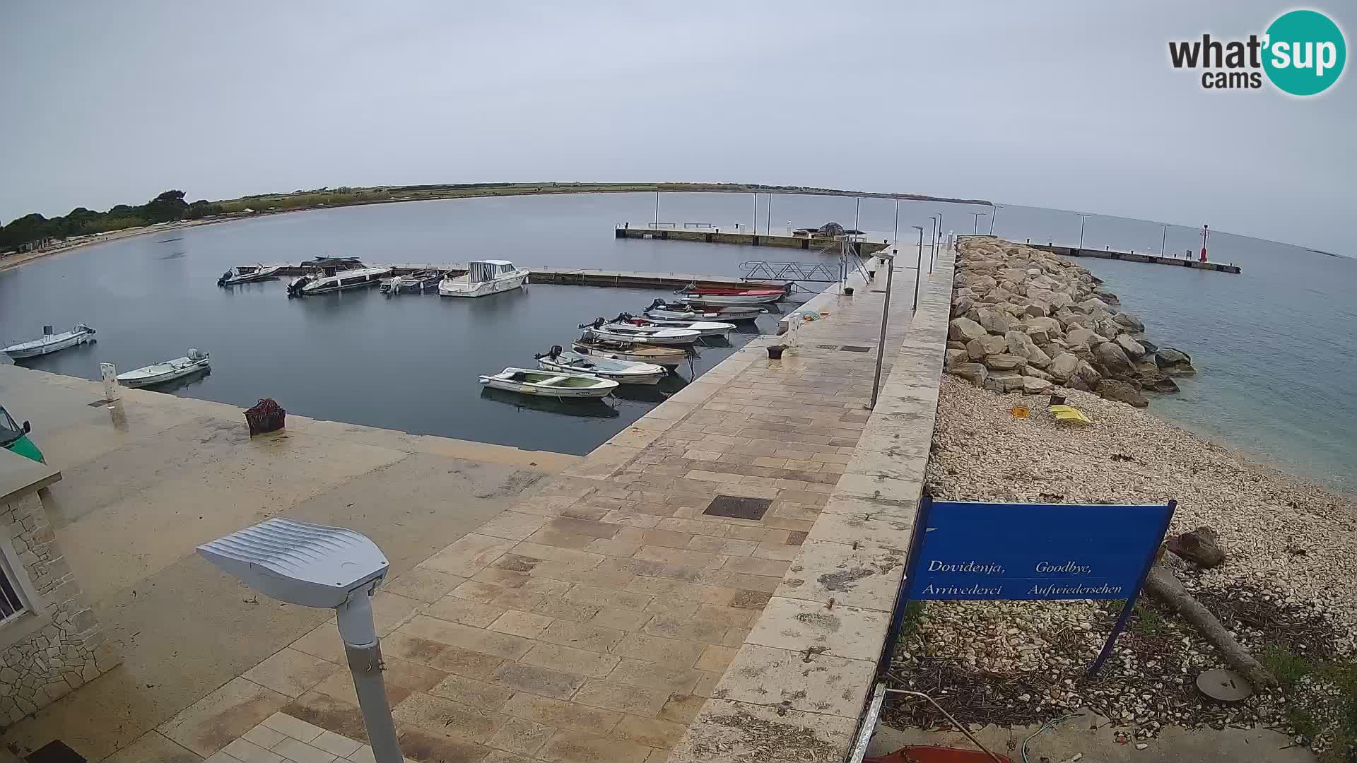 Webcam Isola di Unije – Esplora la bellezza della gemma nascosta della Croazia