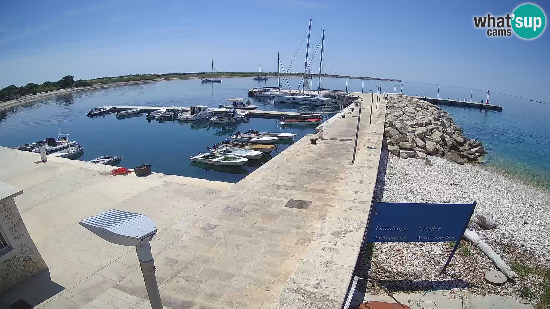 Webcam de l’île d’Unije – Explorez la beauté du joyau caché de la Croatie