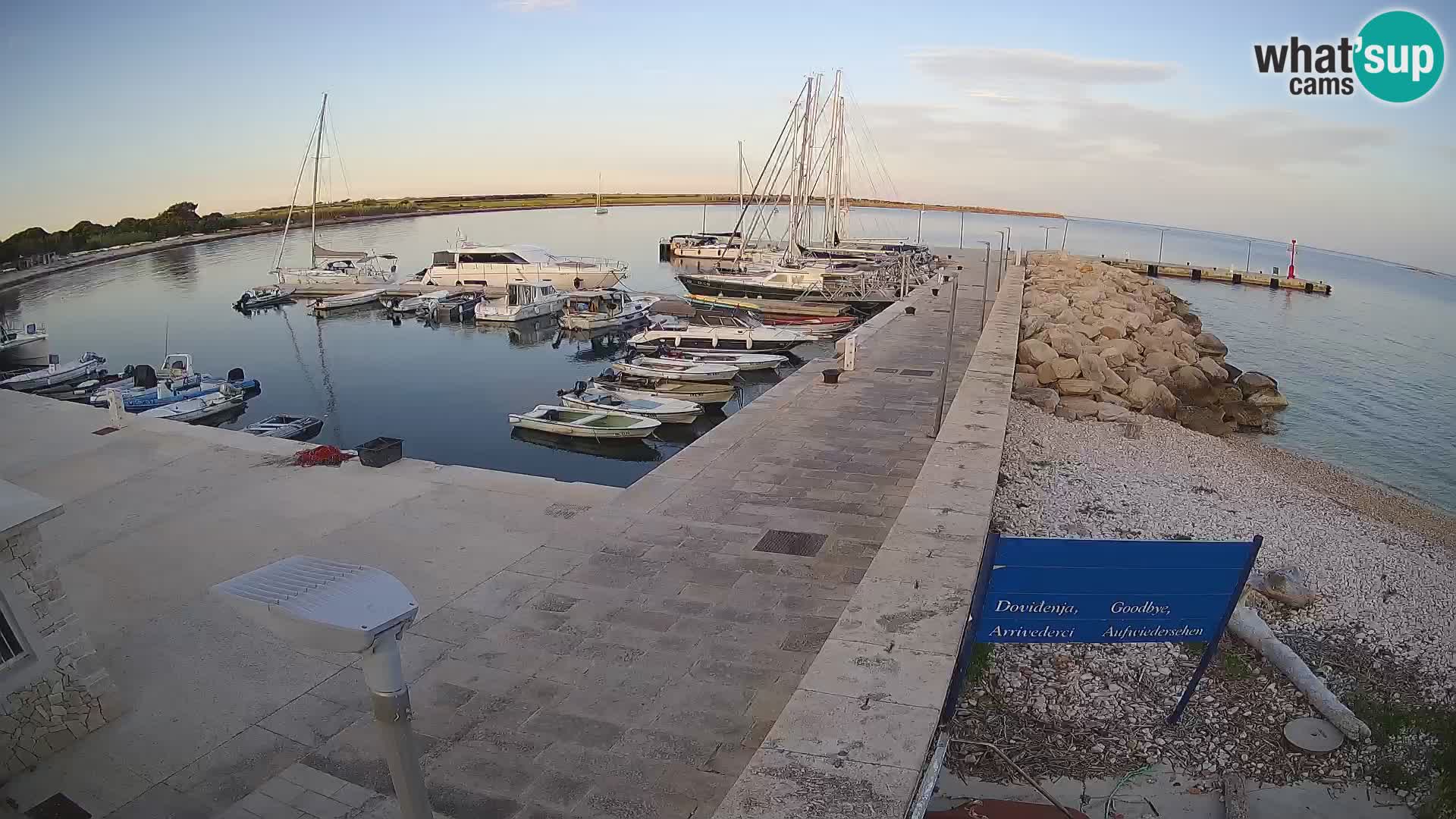 Cámara web de la isla de Unije: explore la belleza de la joya escondida de Croacia