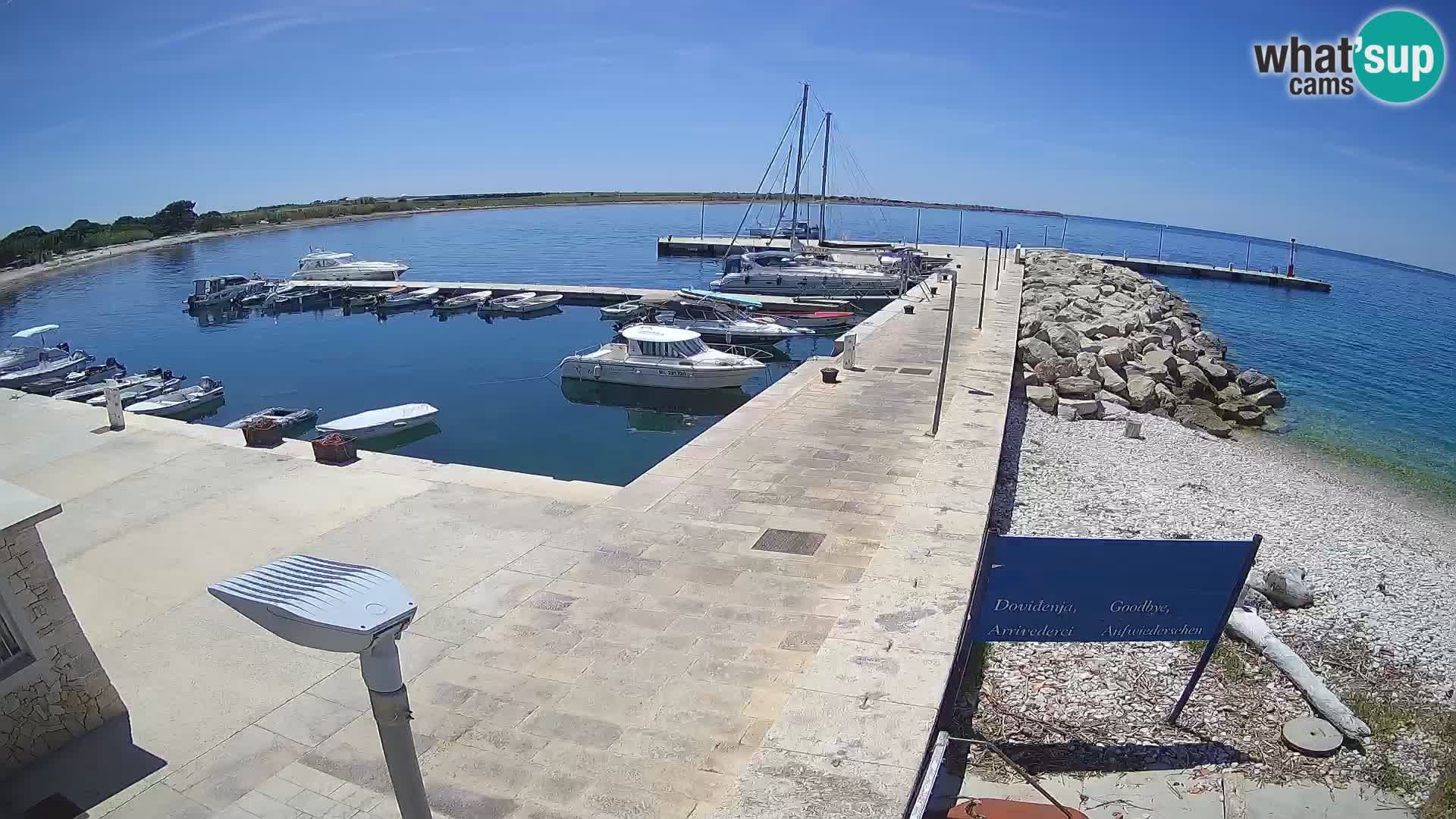 Webcam Isola di Unije – Esplora la bellezza della gemma nascosta della Croazia