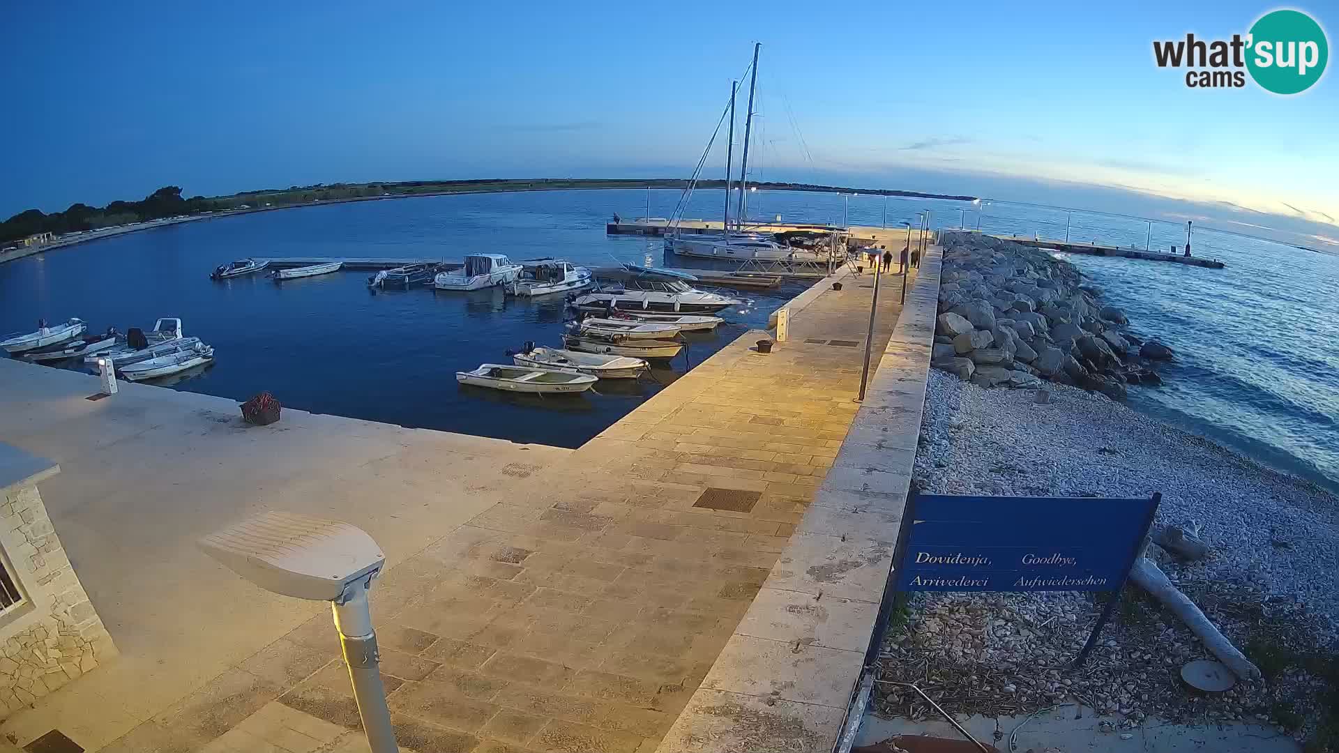 Cámara web de la isla de Unije: explore la belleza de la joya escondida de Croacia