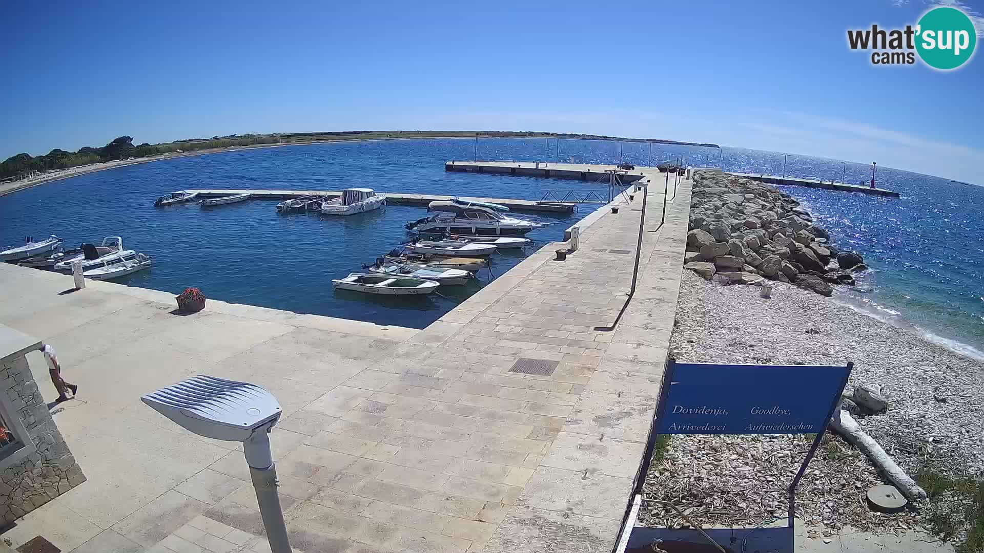 Webcam Isola di Unije – Esplora la bellezza della gemma nascosta della Croazia