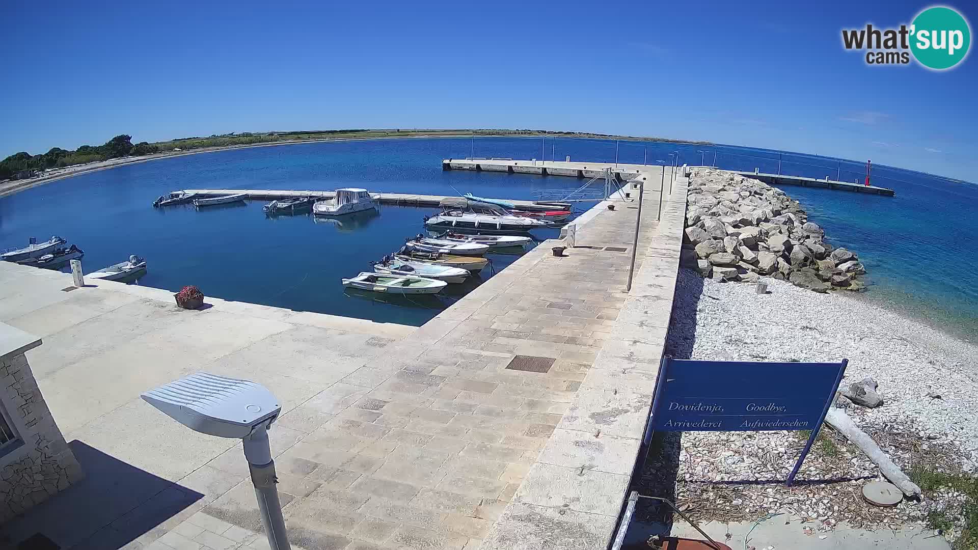 Webcam de l’île d’Unije – Explorez la beauté du joyau caché de la Croatie