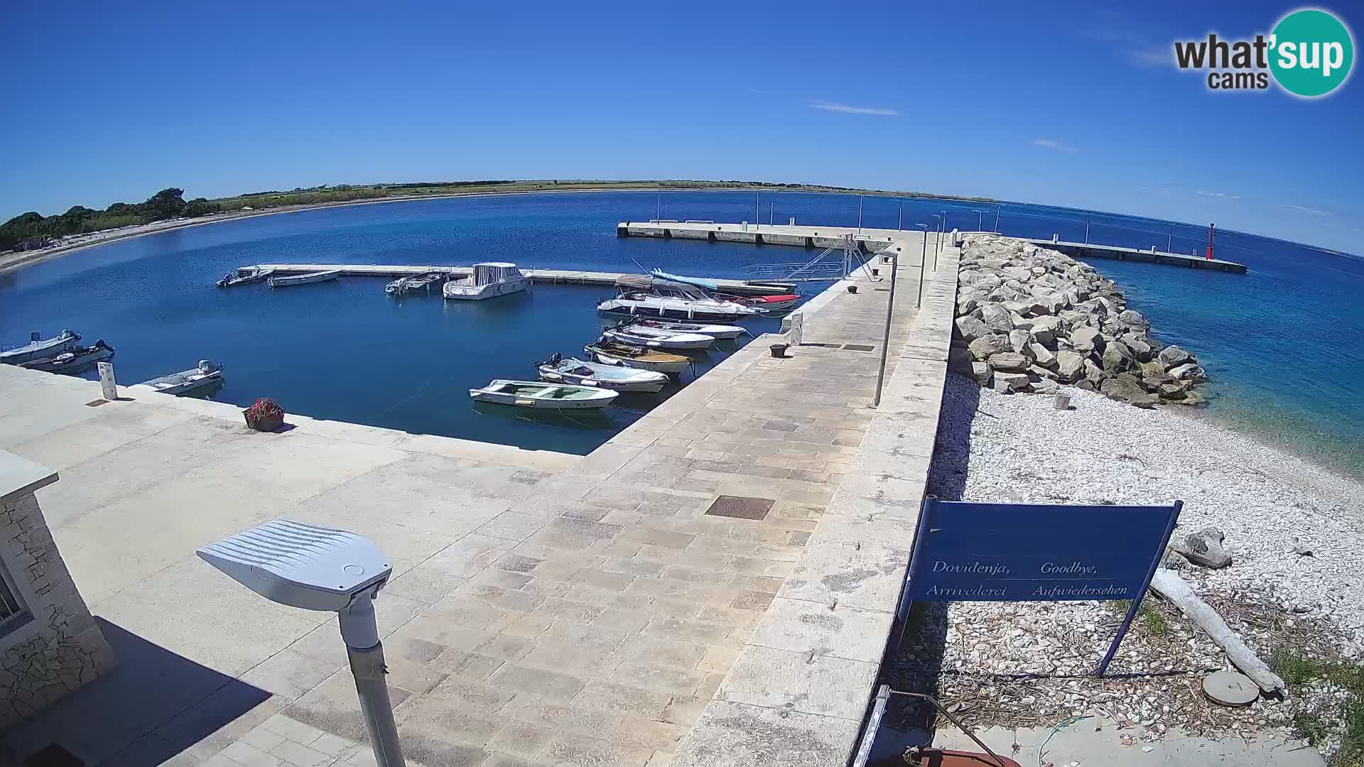 Webcam de l’île d’Unije – Explorez la beauté du joyau caché de la Croatie