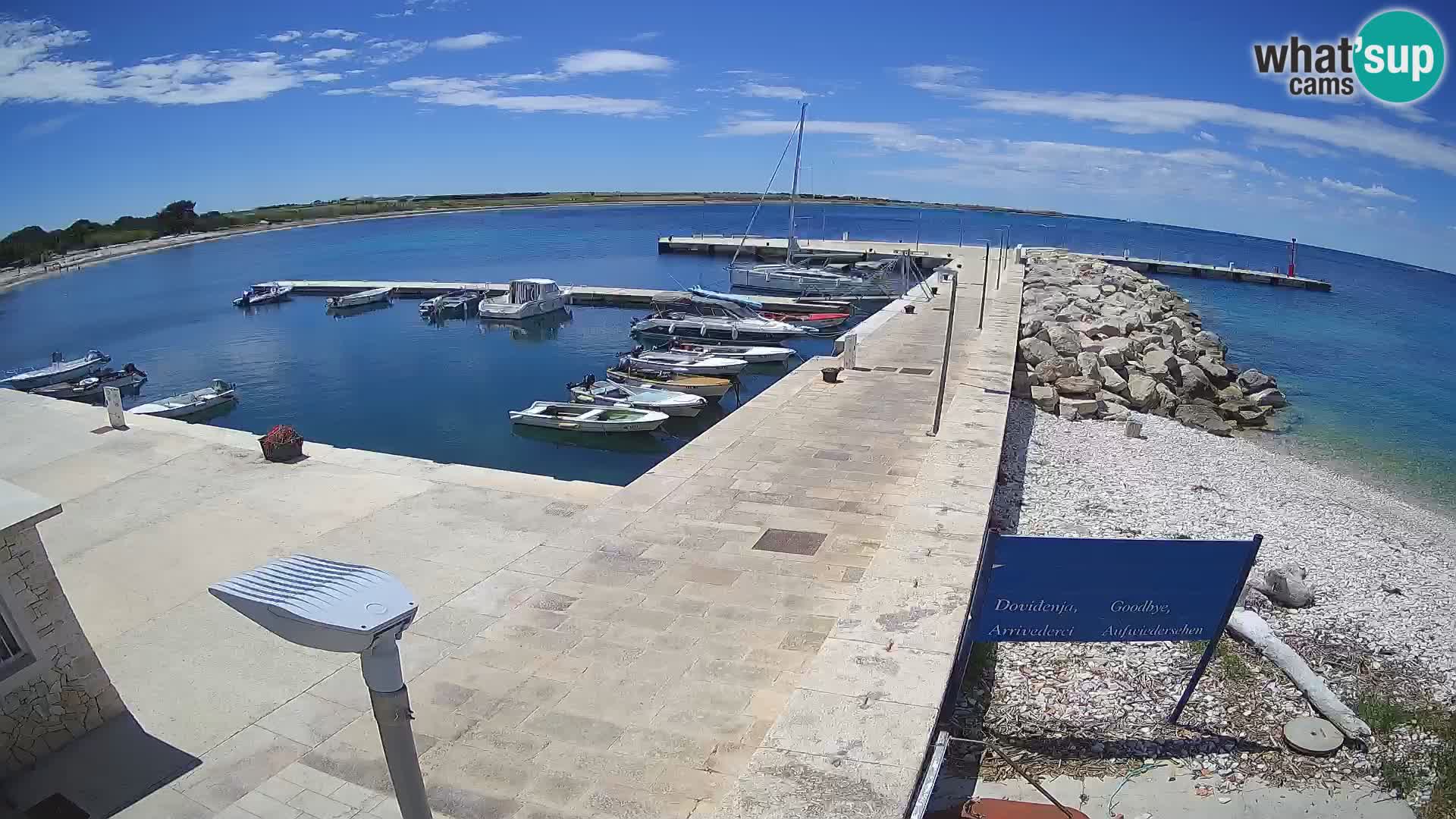 Cámara web de la isla de Unije: explore la belleza de la joya escondida de Croacia