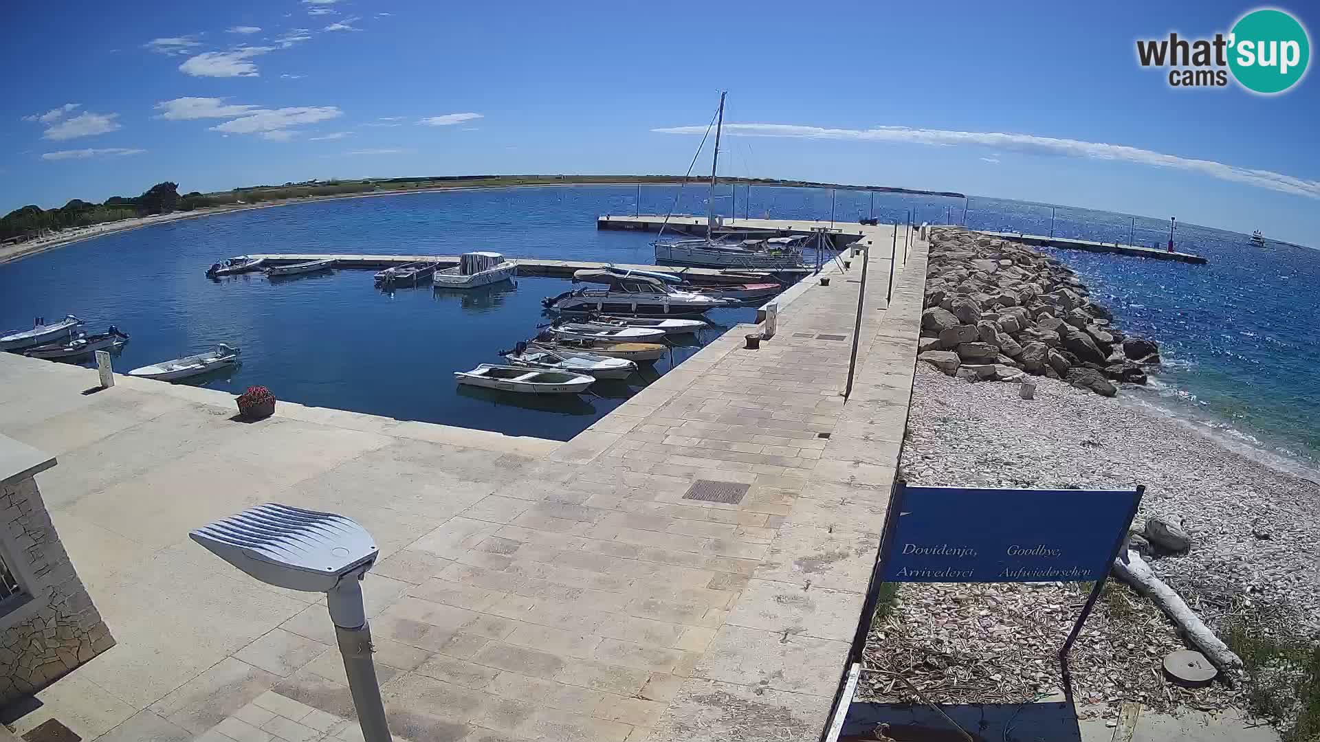 Cámara web de la isla de Unije: explore la belleza de la joya escondida de Croacia