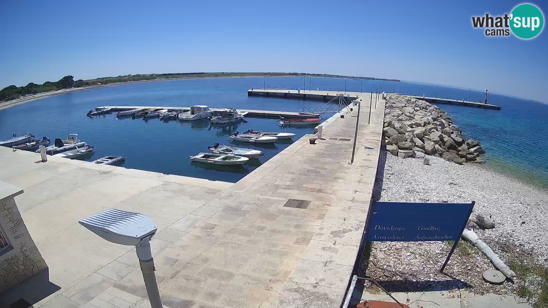 Webcam Isola di Unije – Esplora la bellezza della gemma nascosta della Croazia