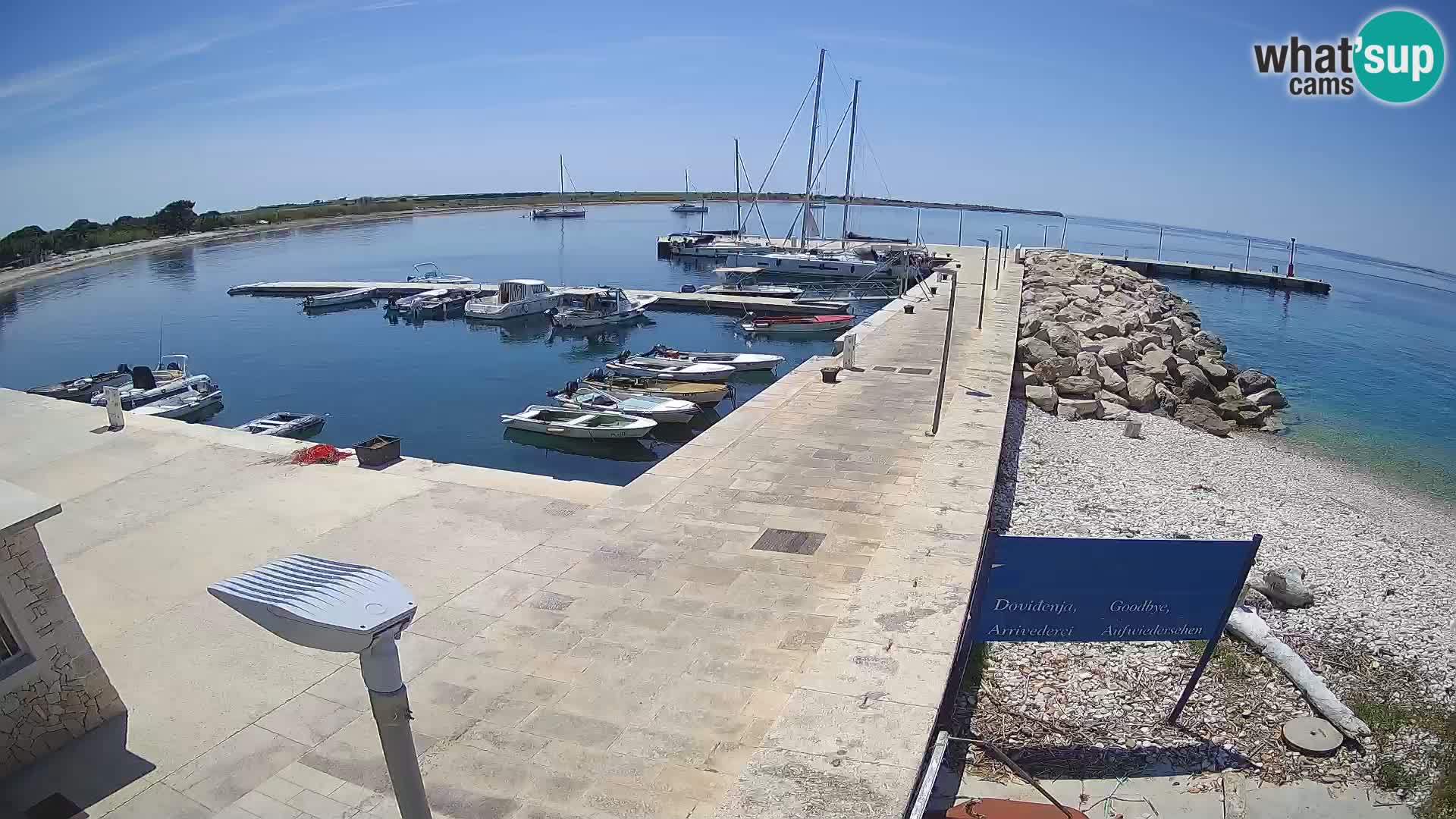 Webcam Isola di Unije – Esplora la bellezza della gemma nascosta della Croazia