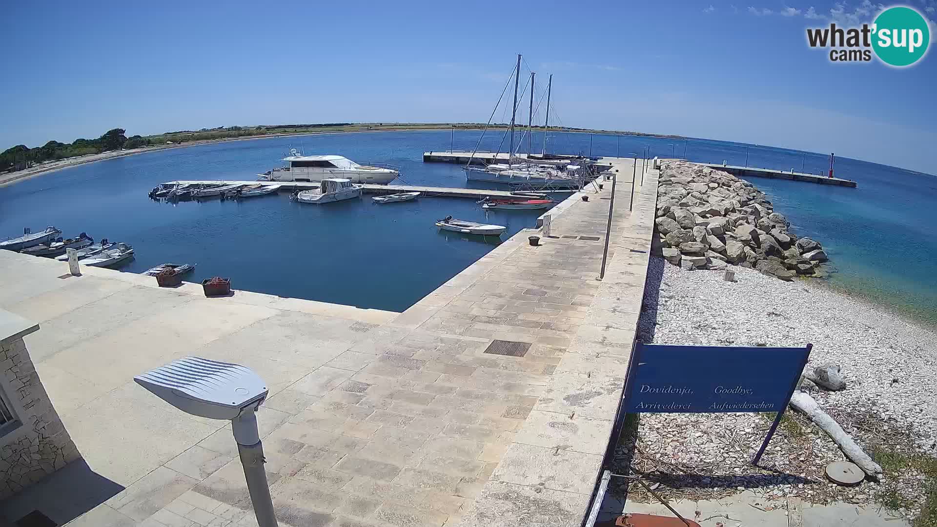 Webcam de l’île d’Unije – Explorez la beauté du joyau caché de la Croatie