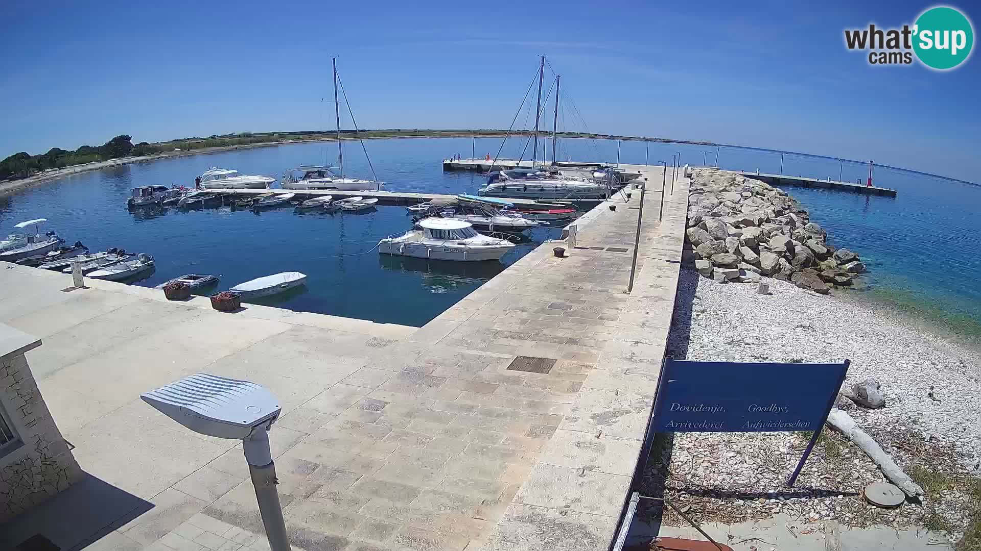 Webcam Isola di Unije – Esplora la bellezza della gemma nascosta della Croazia
