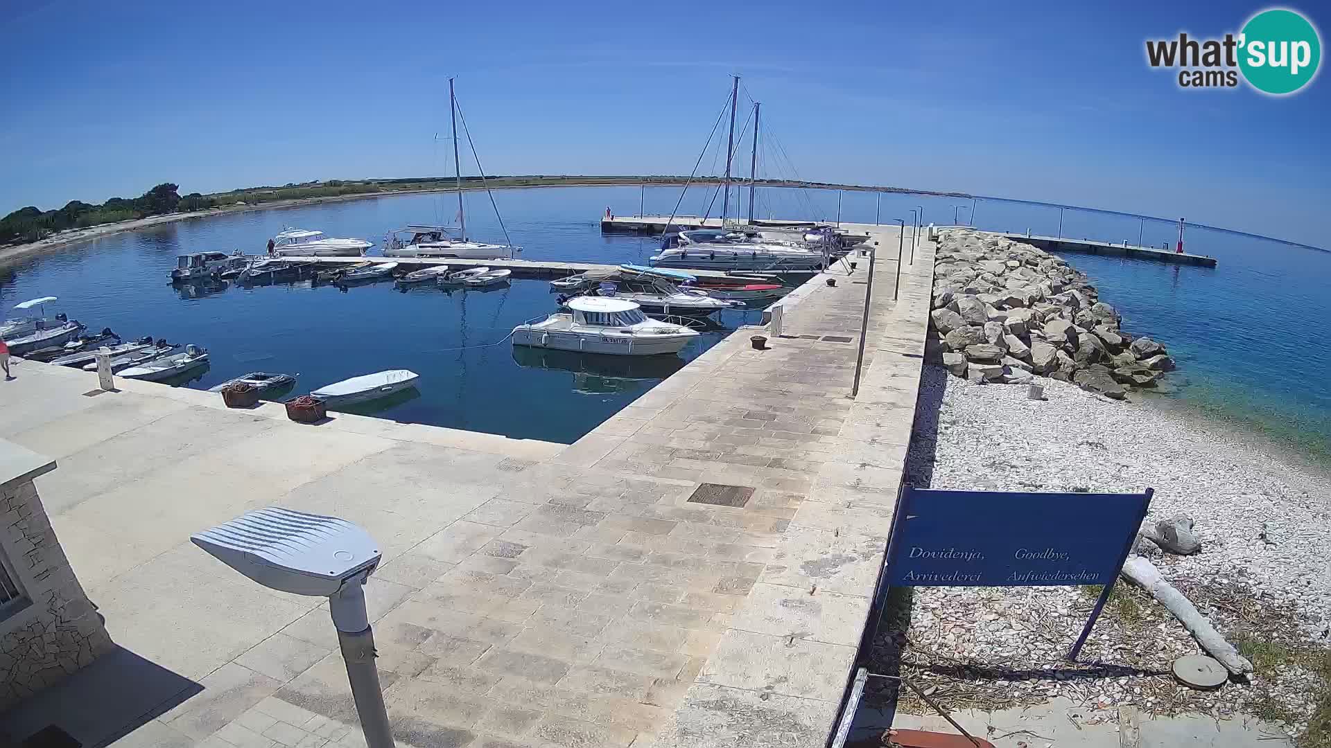Webcam Isola di Unije – Esplora la bellezza della gemma nascosta della Croazia