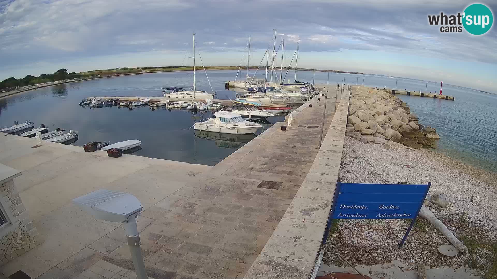 Cámara web de la isla de Unije: explore la belleza de la joya escondida de Croacia
