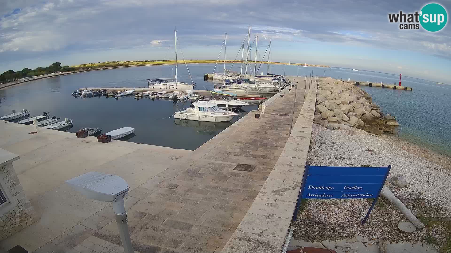 Cámara web de la isla de Unije: explore la belleza de la joya escondida de Croacia