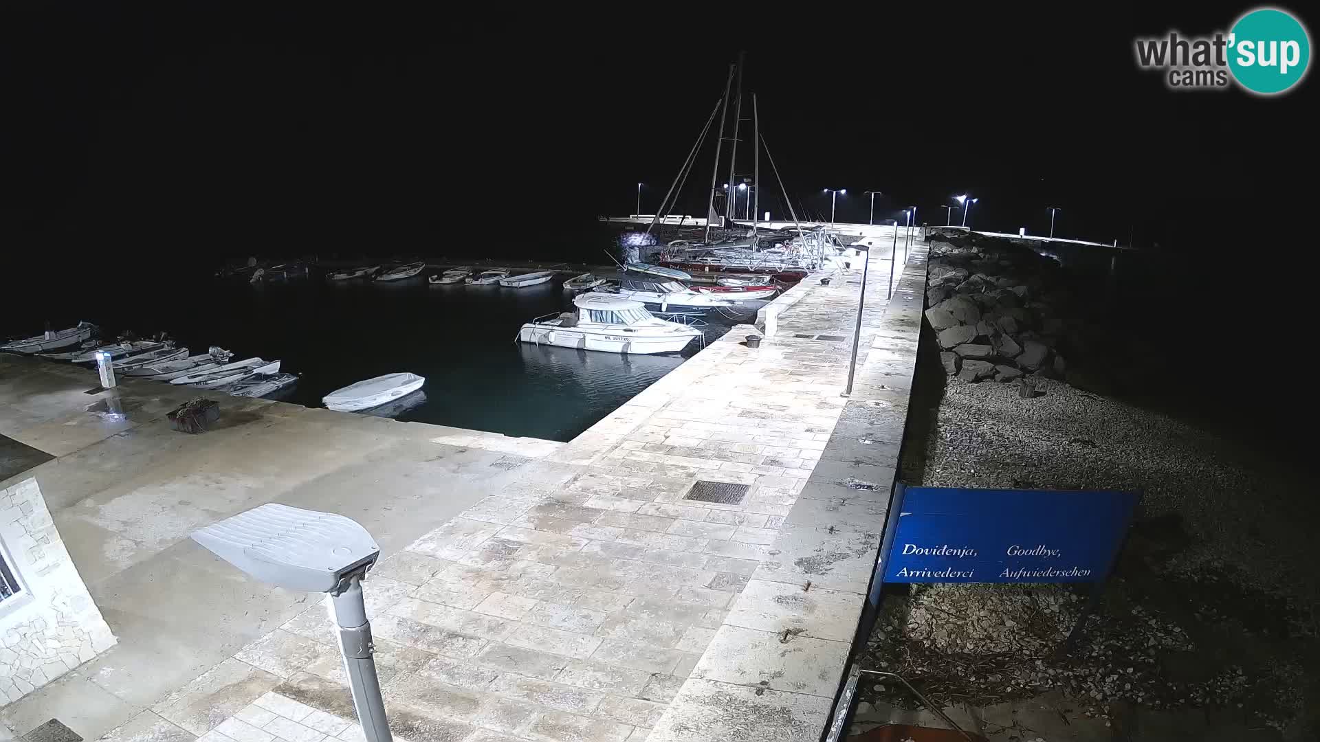 Cámara web de la isla de Unije: explore la belleza de la joya escondida de Croacia