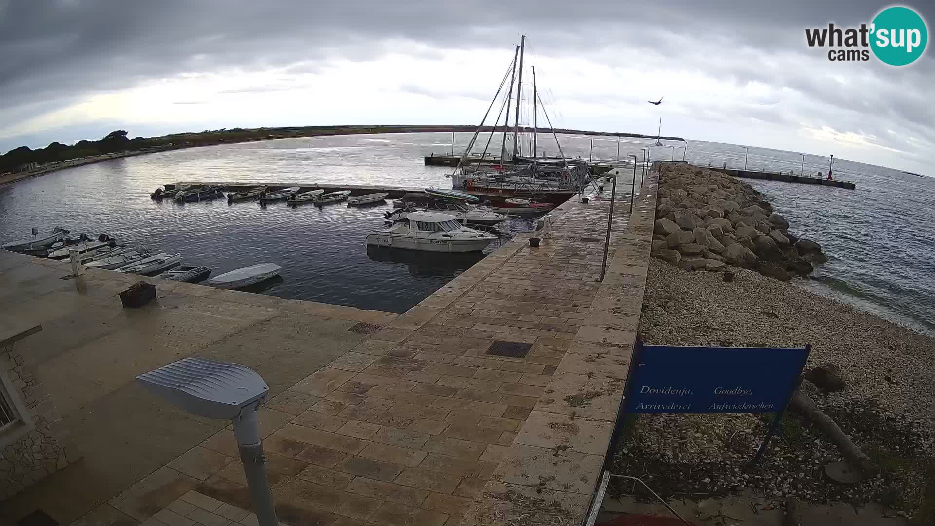 Webcam de l’île d’Unije – Explorez la beauté du joyau caché de la Croatie