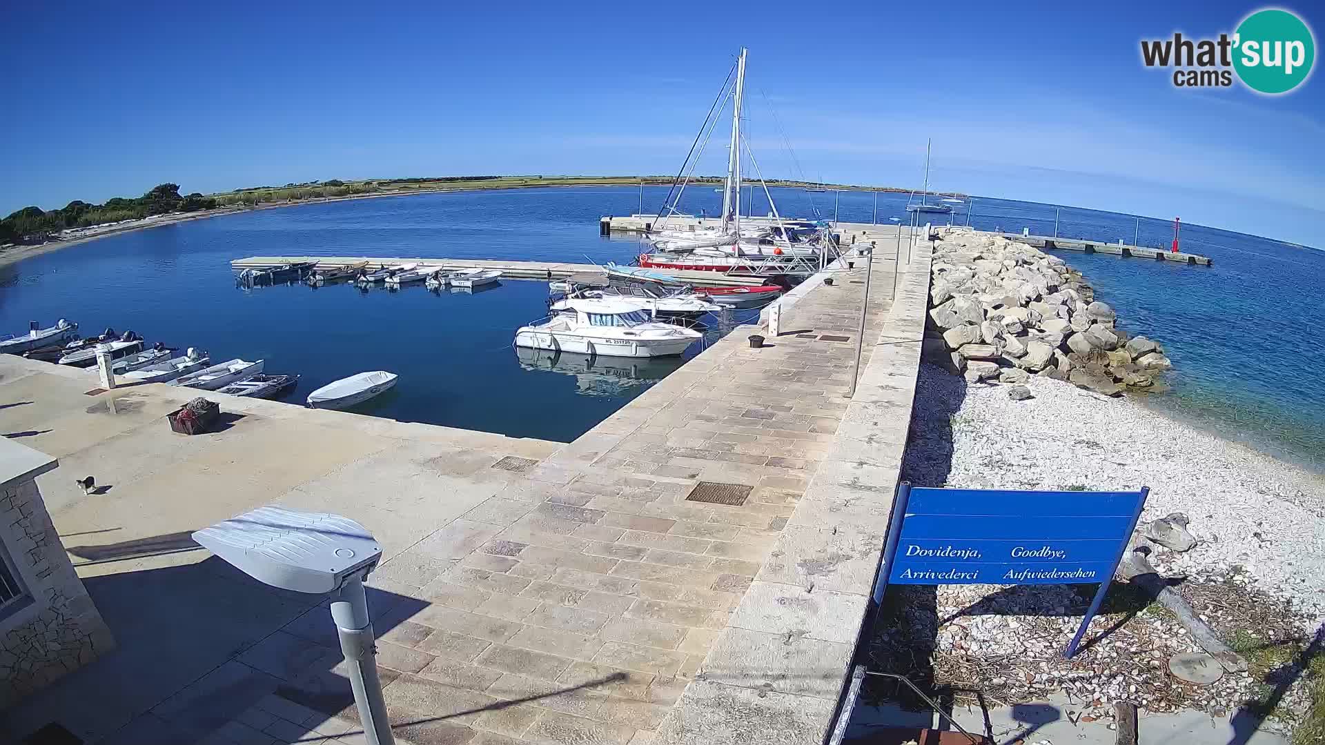 Webcam Isola di Unije – Esplora la bellezza della gemma nascosta della Croazia