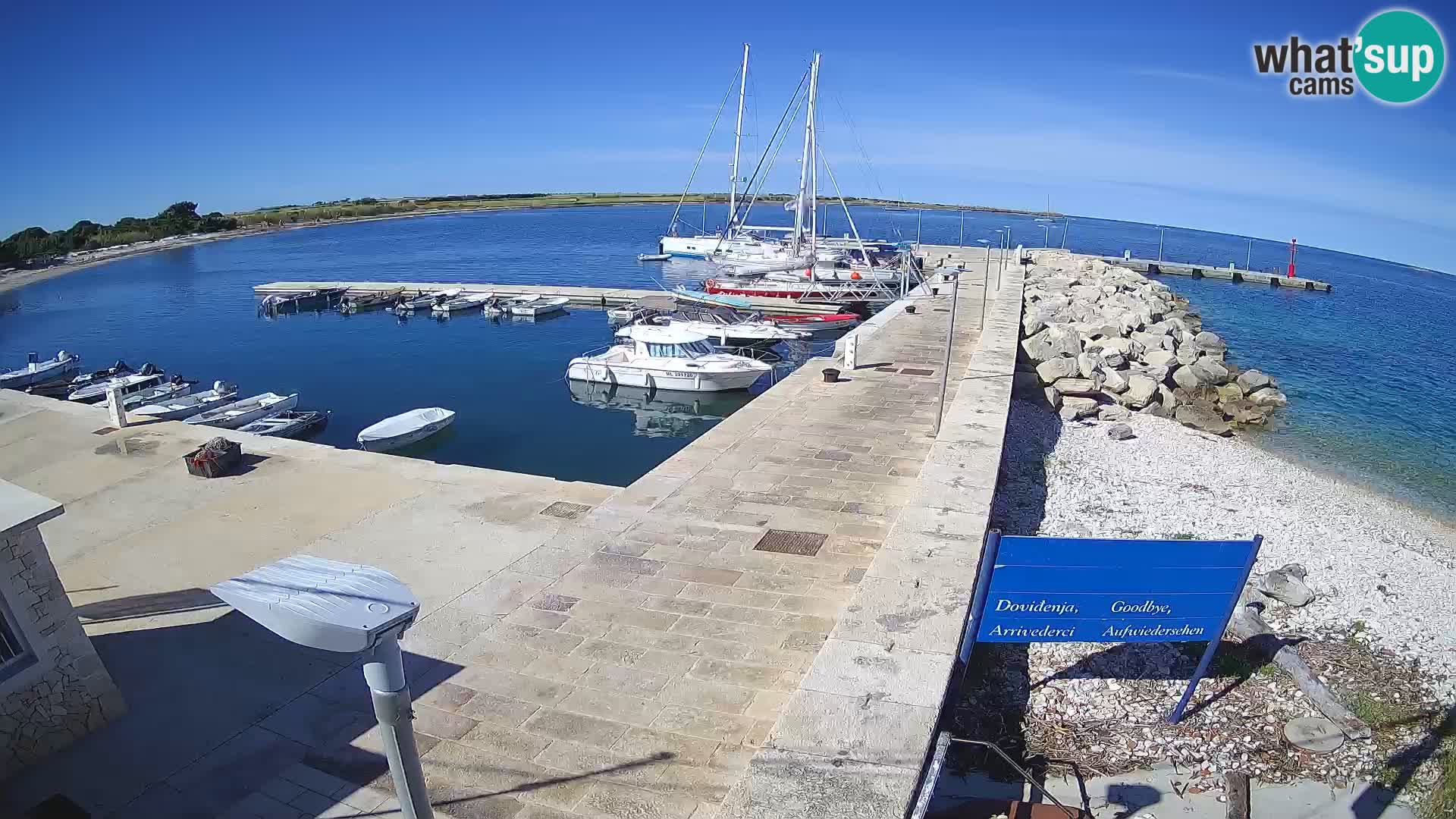 Cámara web de la isla de Unije: explore la belleza de la joya escondida de Croacia
