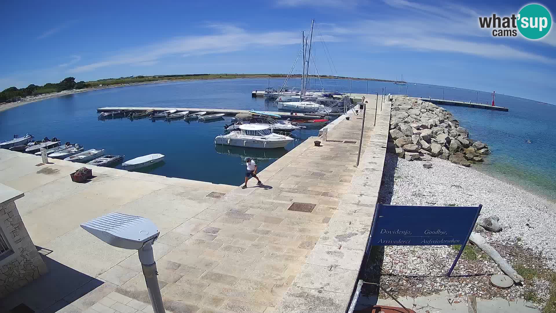 Webcam Isola di Unije – Esplora la bellezza della gemma nascosta della Croazia