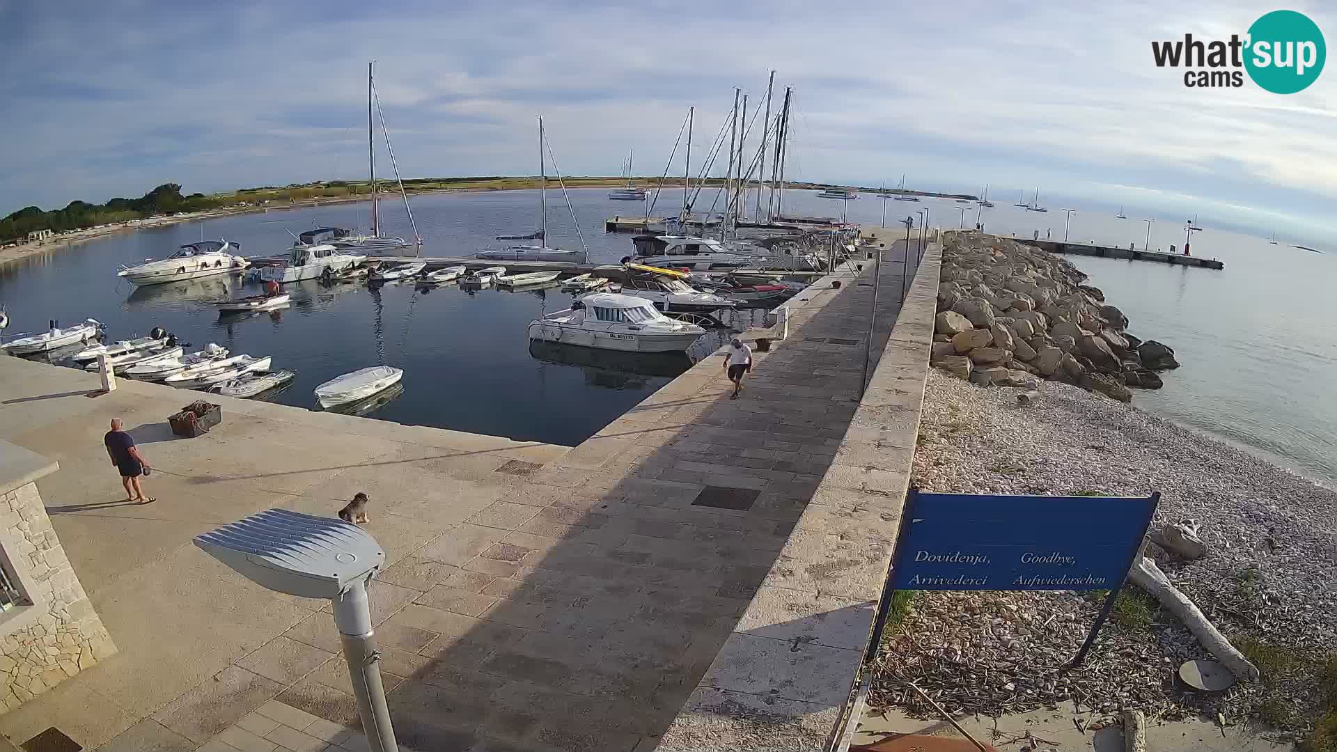 Webcam de l’île d’Unije – Explorez la beauté du joyau caché de la Croatie