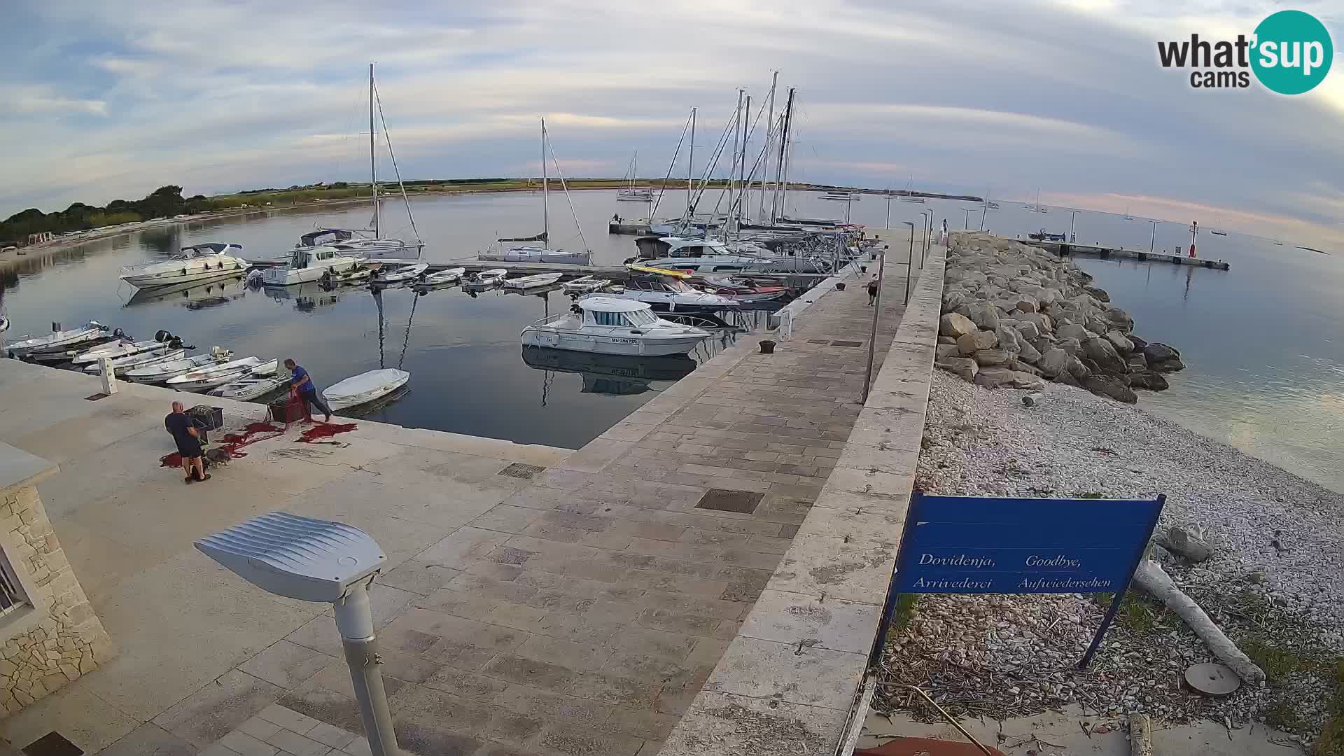 Webcam Isola di Unije – Esplora la bellezza della gemma nascosta della Croazia