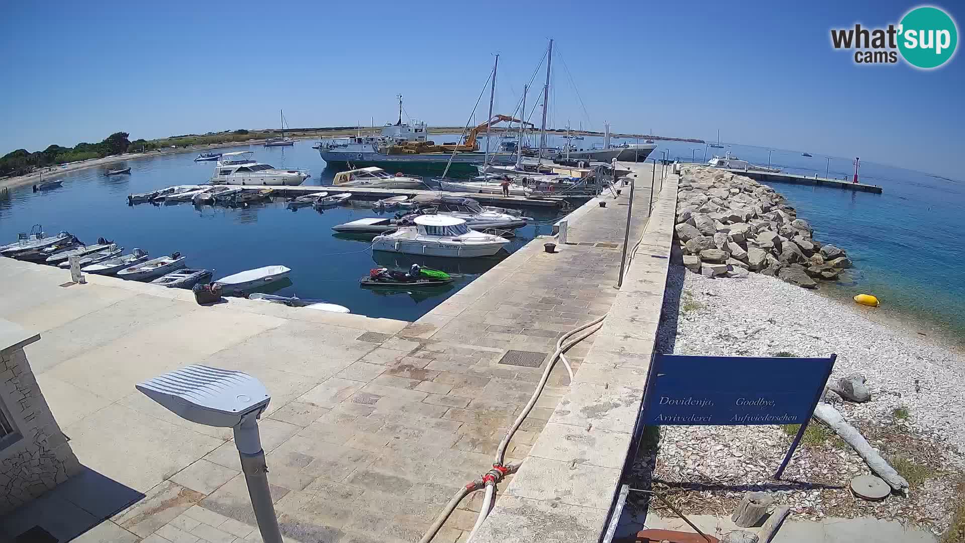 Webcam Isola di Unije – Esplora la bellezza della gemma nascosta della Croazia