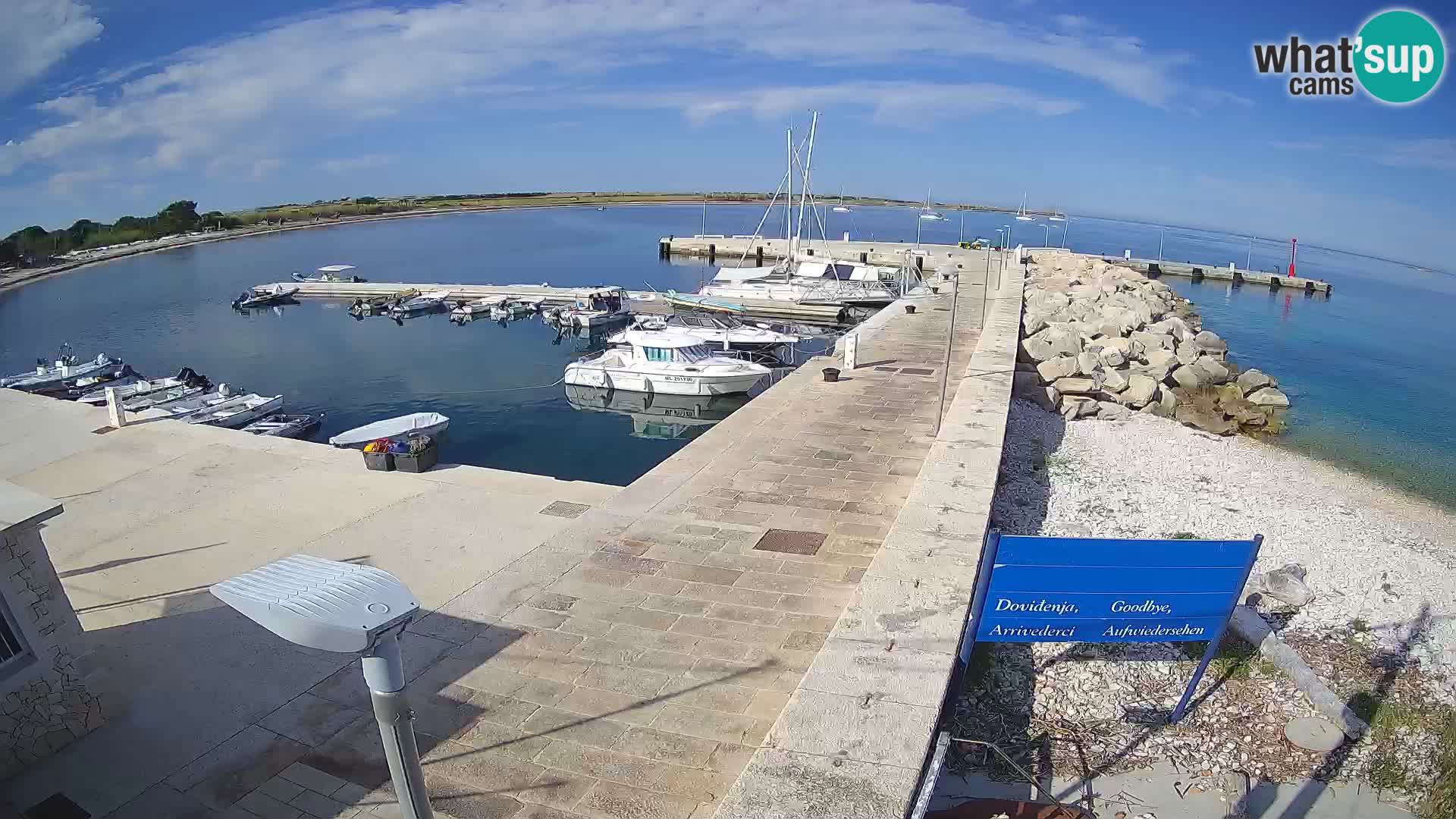Webcam Isola di Unije – Esplora la bellezza della gemma nascosta della Croazia