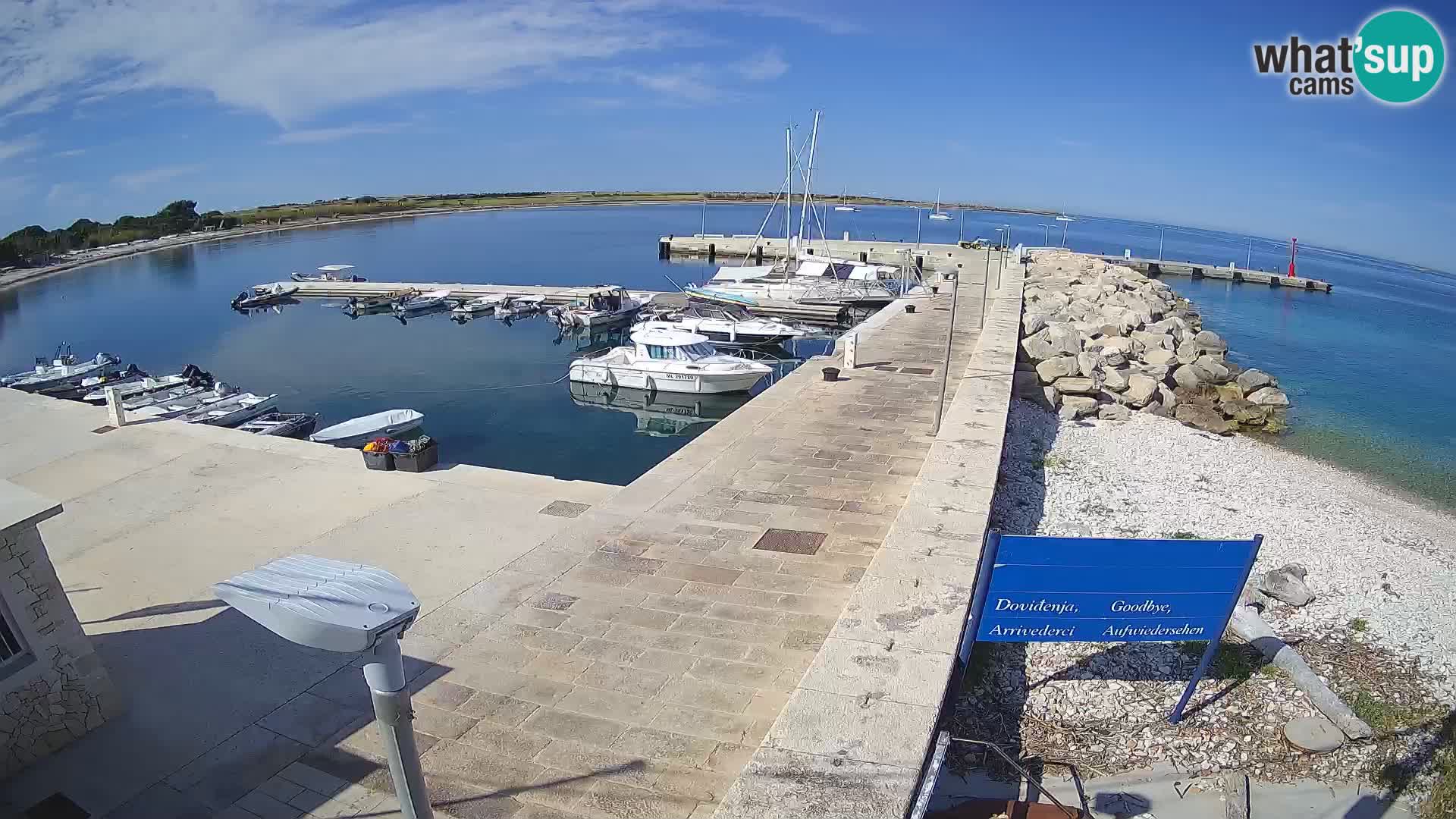 Webcam de l’île d’Unije – Explorez la beauté du joyau caché de la Croatie