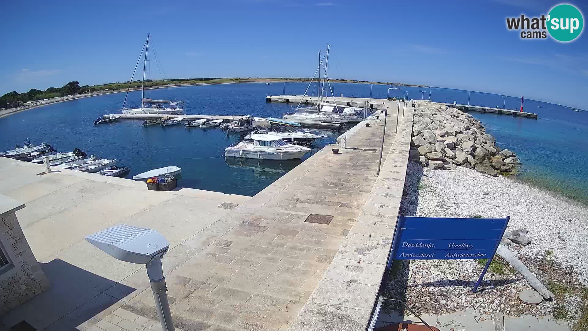 Cámara web de la isla de Unije: explore la belleza de la joya escondida de Croacia