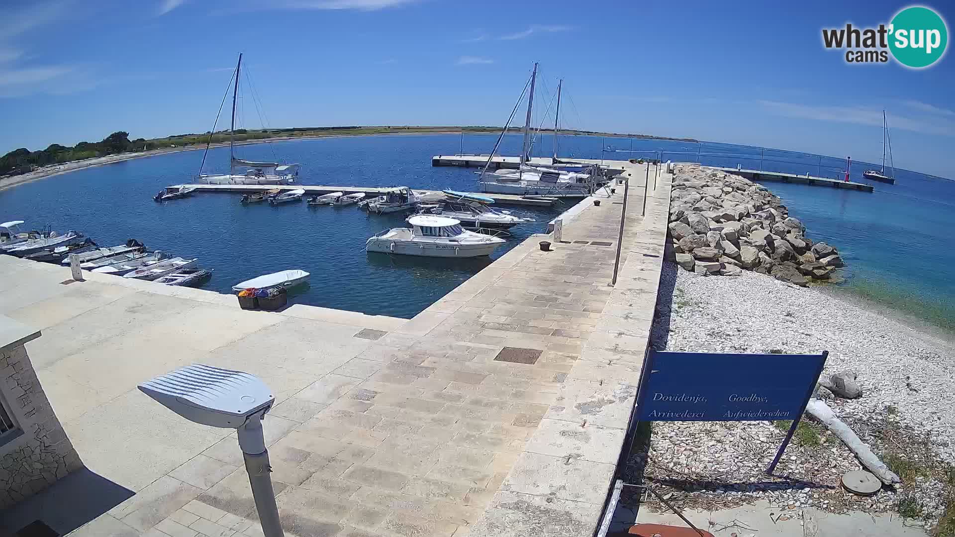 Webcam de l’île d’Unije – Explorez la beauté du joyau caché de la Croatie