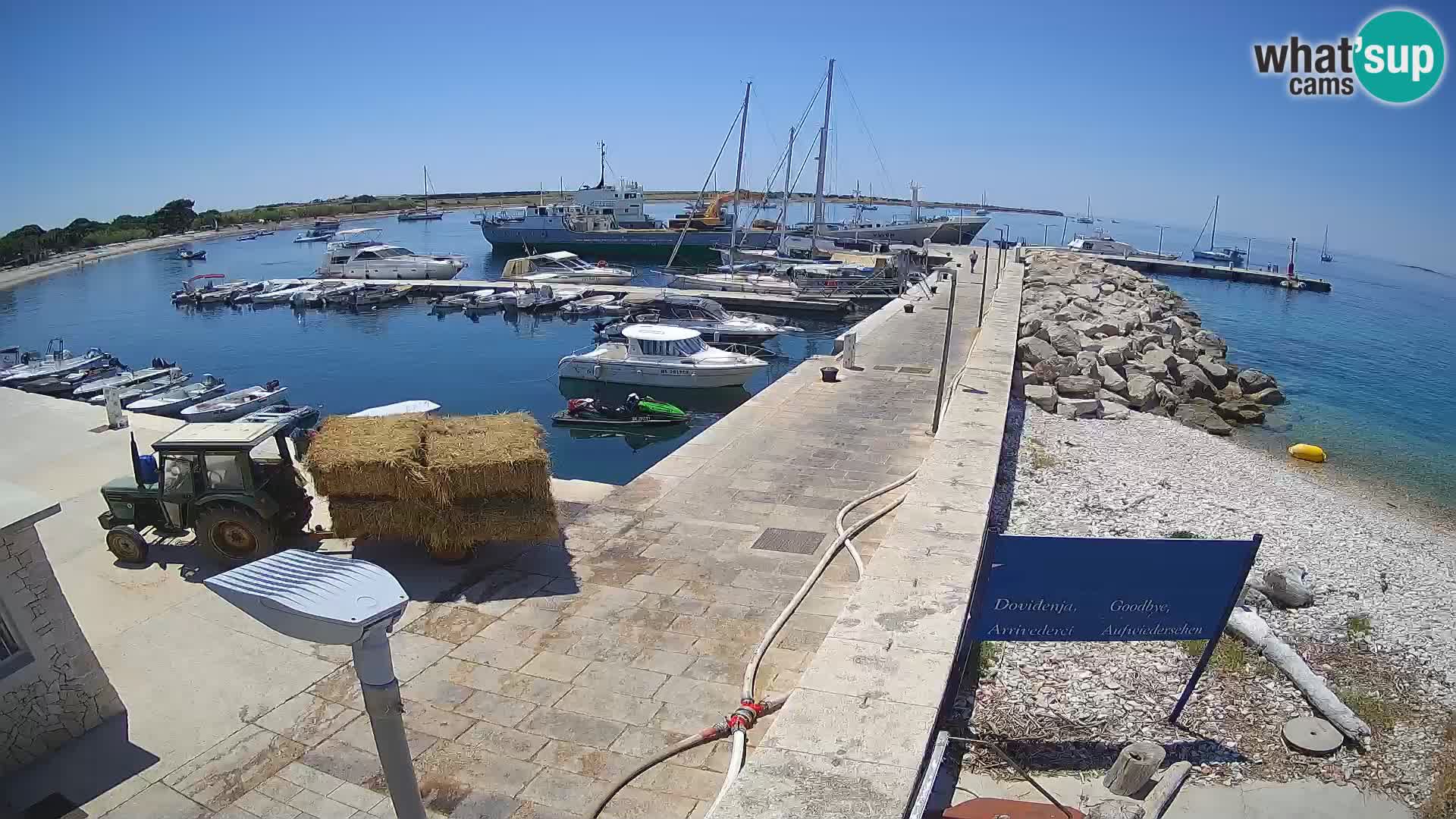 Insel Unije Webcam – Entdecken Sie die Schönheit von Kroatiens verstecktem Juwel
