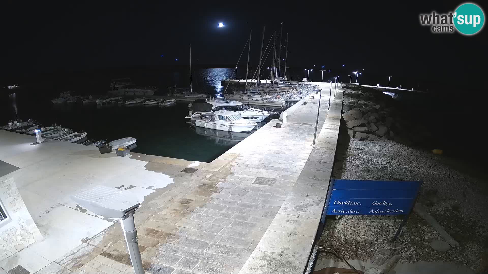Cámara web de la isla de Unije: explore la belleza de la joya escondida de Croacia